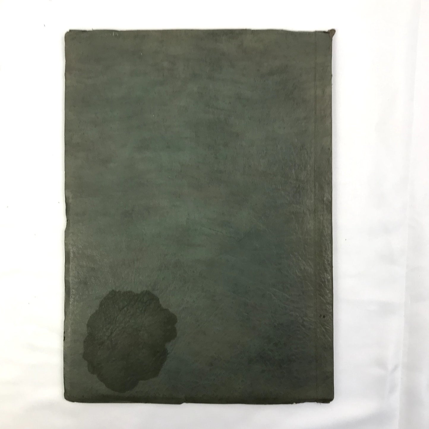 The Aurora 1923 Fairhaven High School Paperback Yearbook Bellingham, Washington