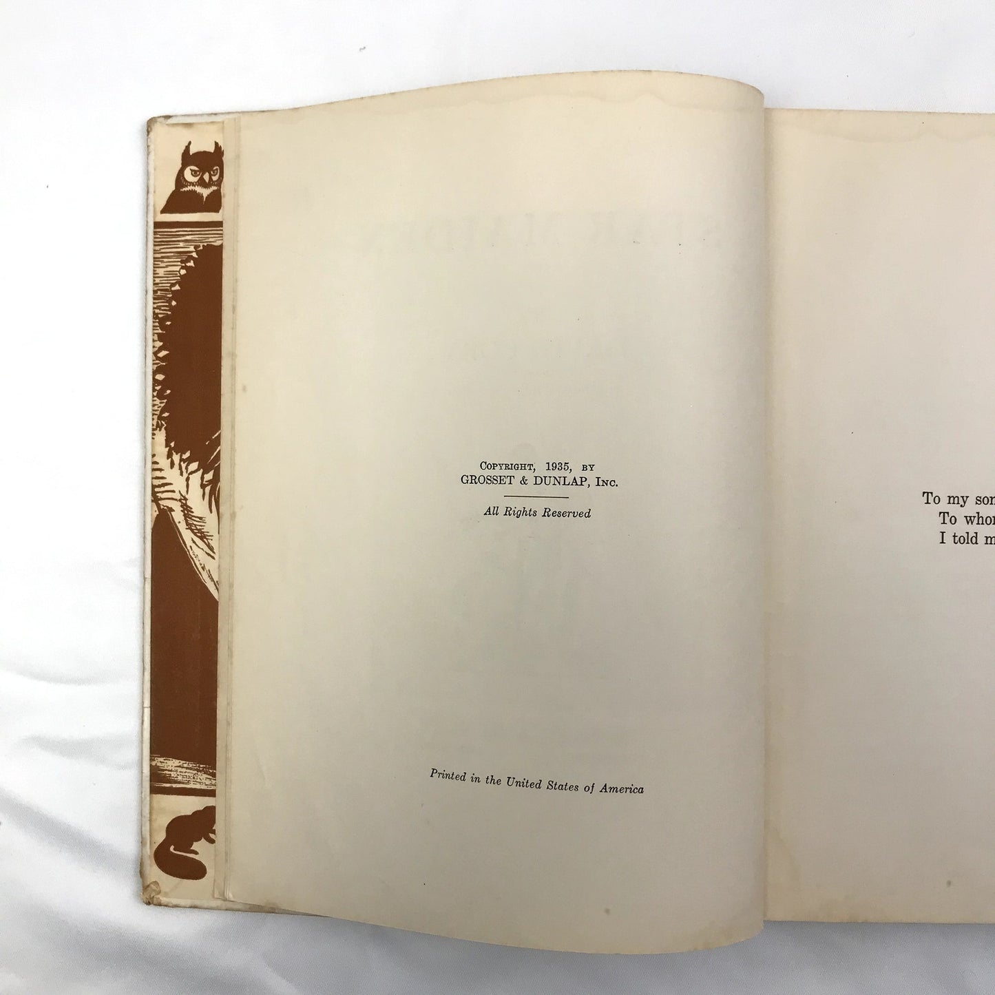 Star Maiden Hardcover Illustrated Book by David Cory 1935 Grosset & Dunlap