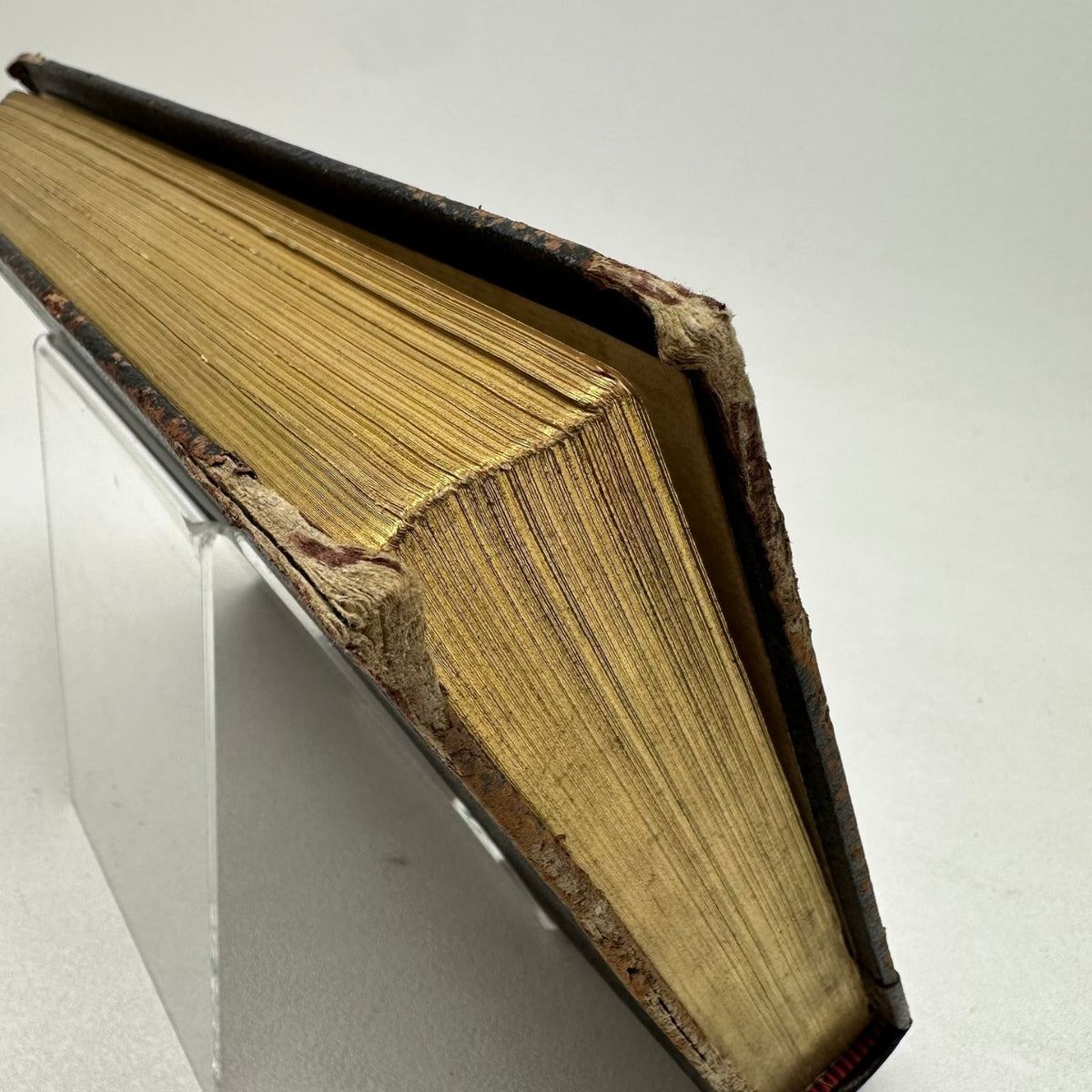 The Beautiful Life of Frances E. Willard Anna A. Gordon 1898 Biography W.T.P.A.