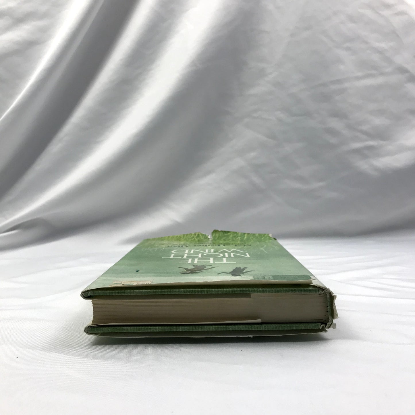 The Night Wind Hardcover Illustrated Book Mabel Esther Allan 1974 First Edition