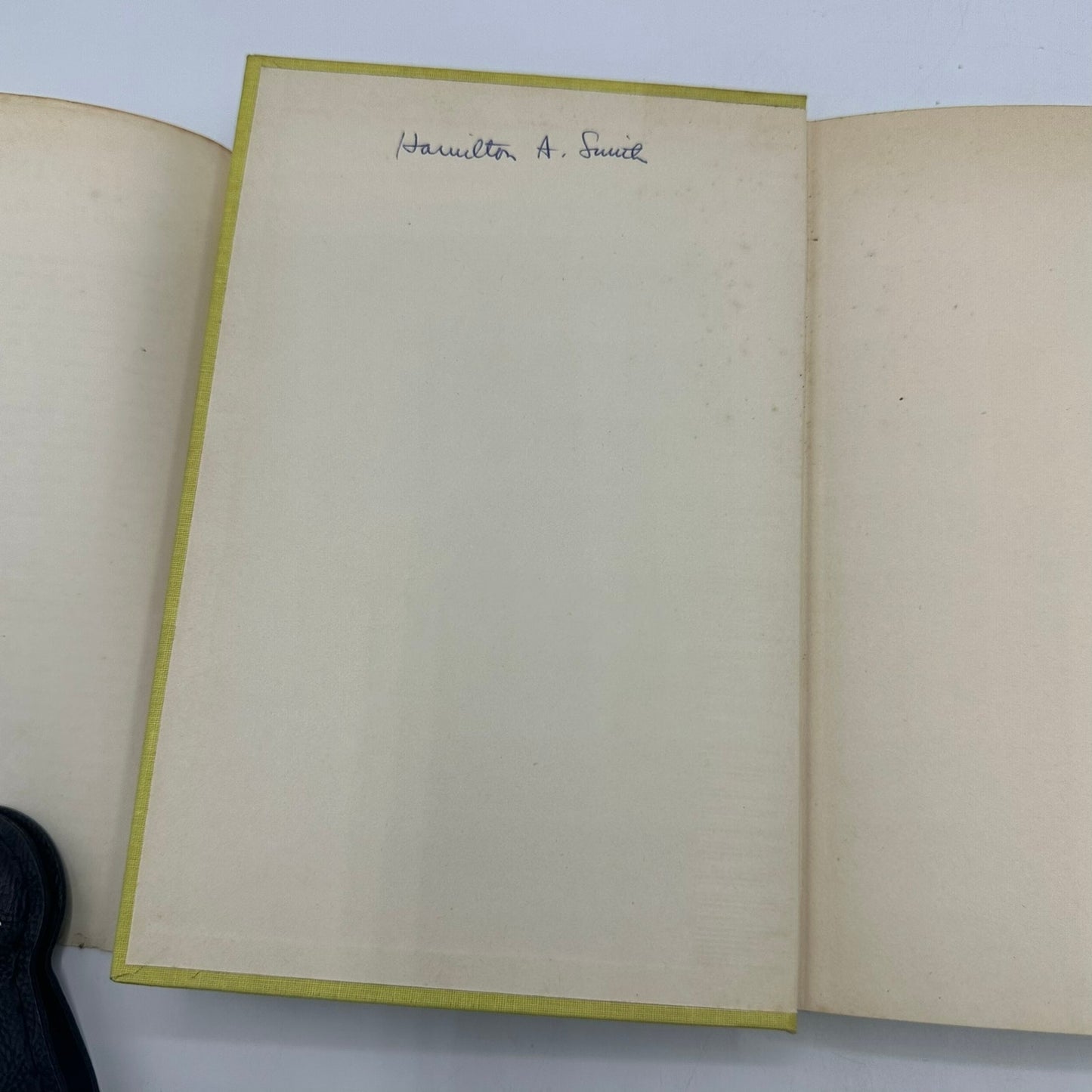 Loving Henry Green Historical Novel Classic Literature World War II Ireland 1949