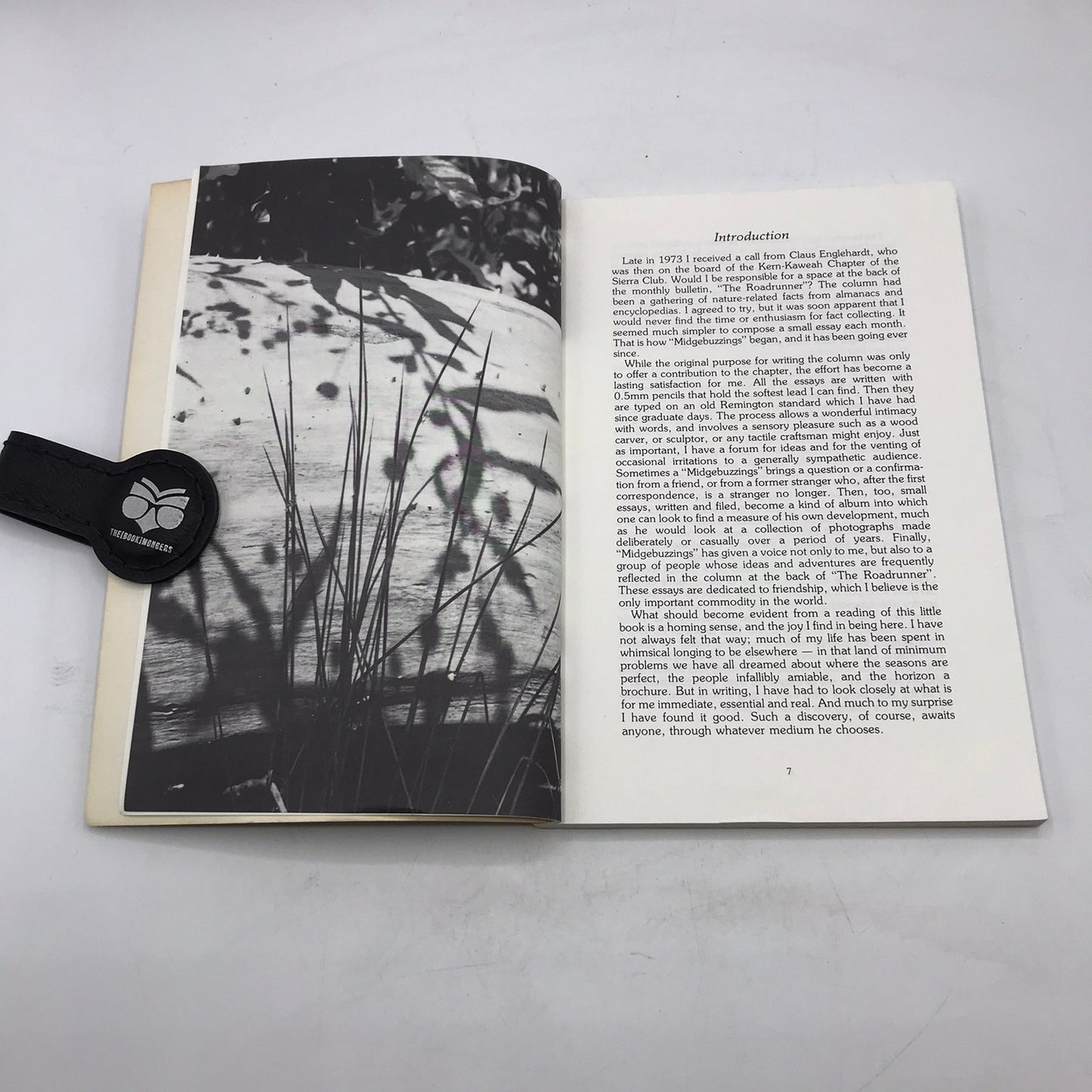 Midgebuzzings Signed Paperback by Ann Williams Illustrated First Edition 1985