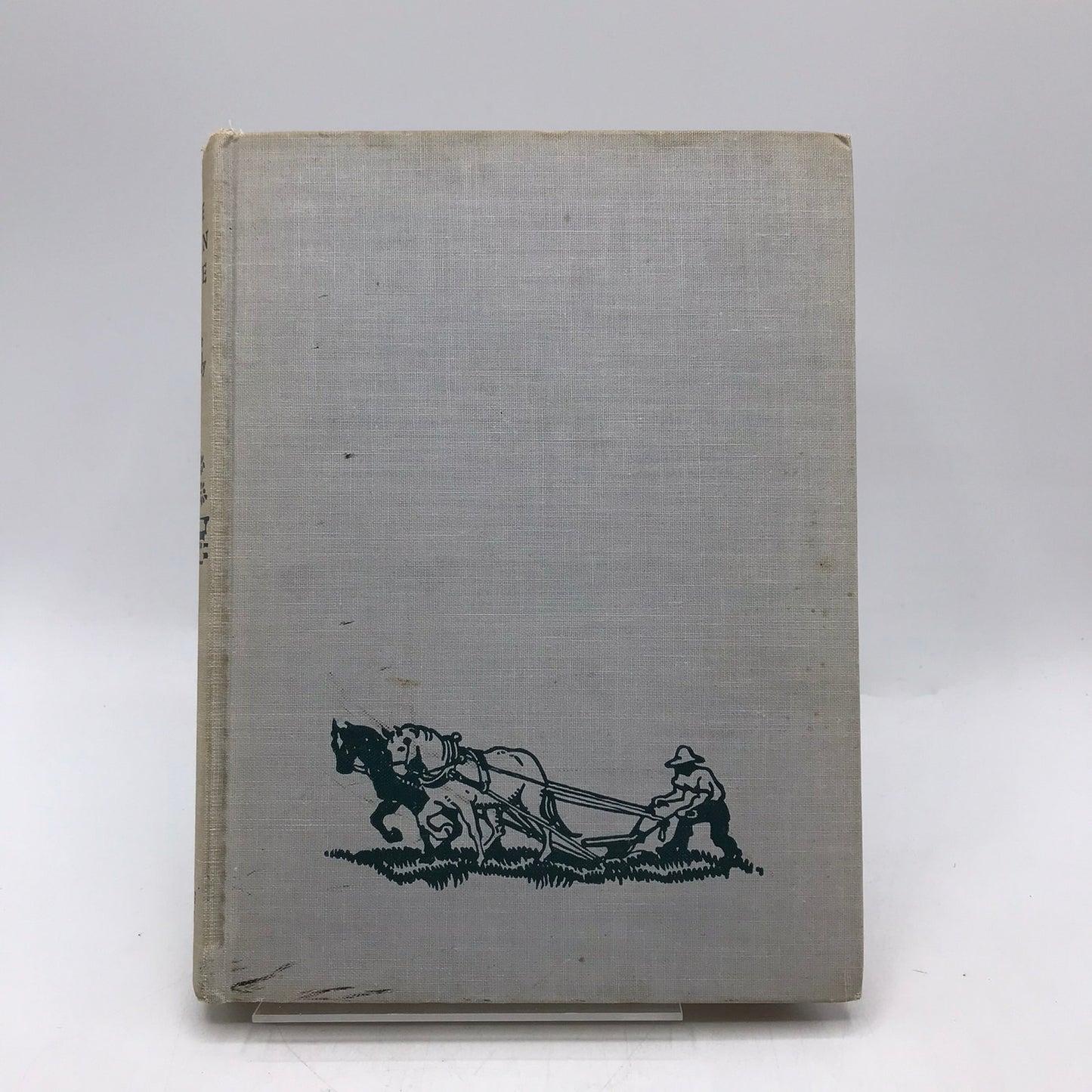 The Open Gate Kate Seredy Coming of Age Rural Life Juvenile Historical Adventure