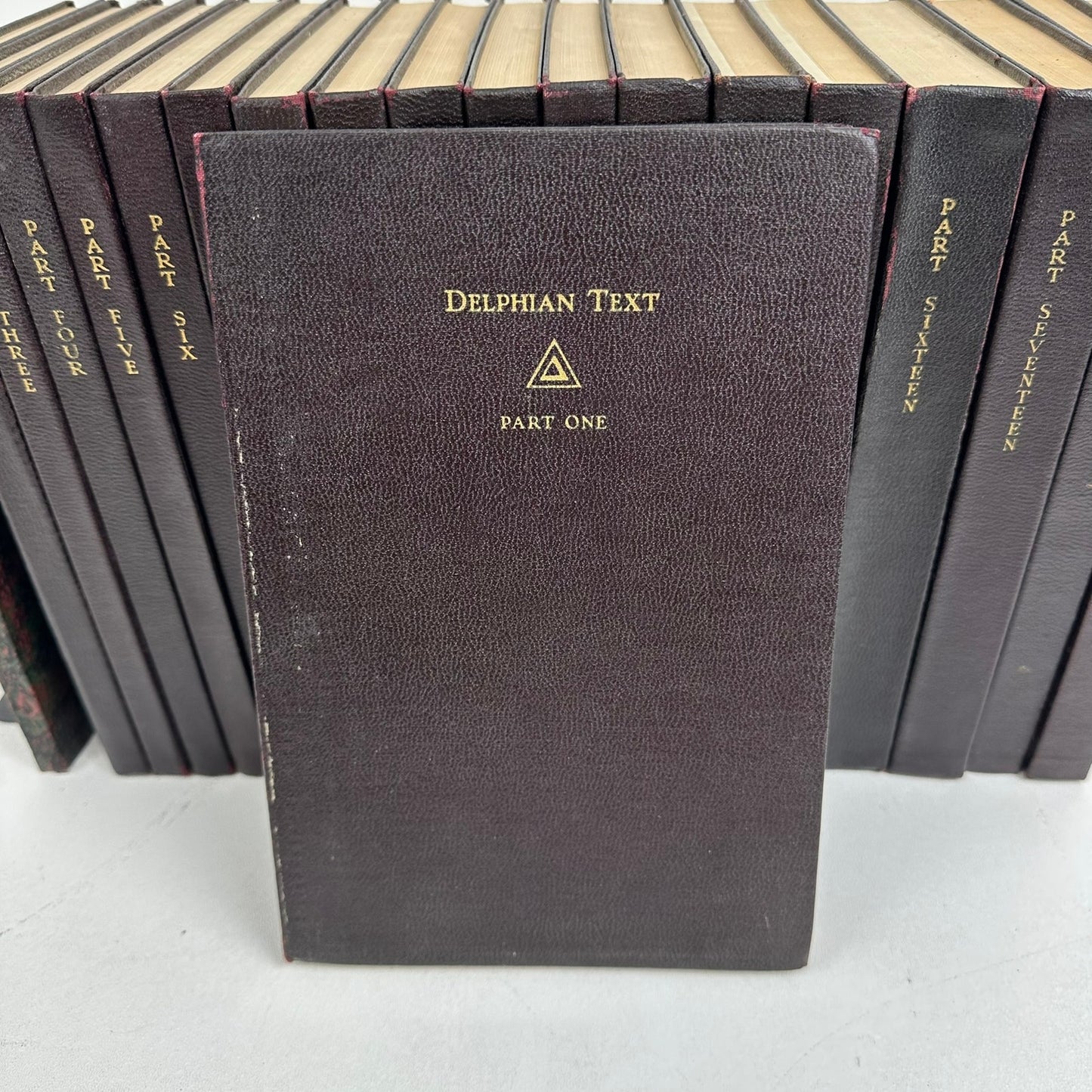 Delphian Text 19 Volumes plus Topical Outlines Leather Bound History Philosophy