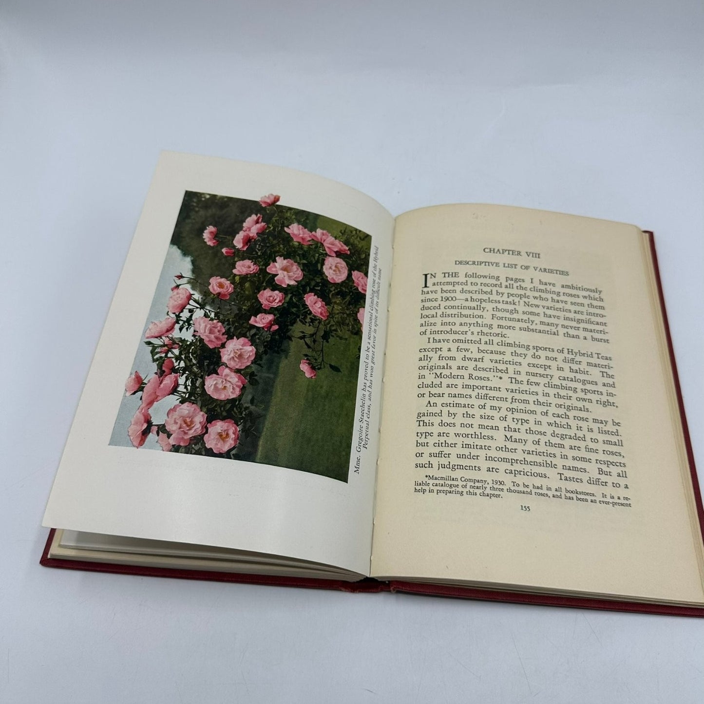 Climbing Roses G.A. Stevens 1933 First Edition Illustrated Macmillan Gardening