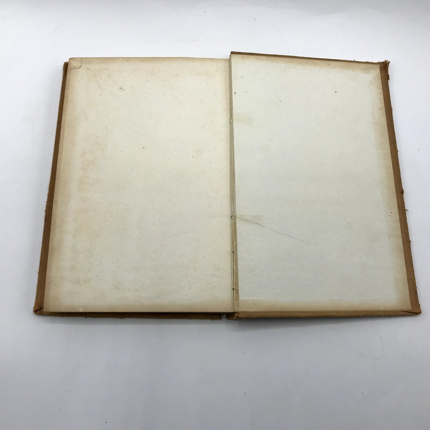 Digest of The Law and Decisions of The Grand Lodge of Oregon 1899 Leather Book