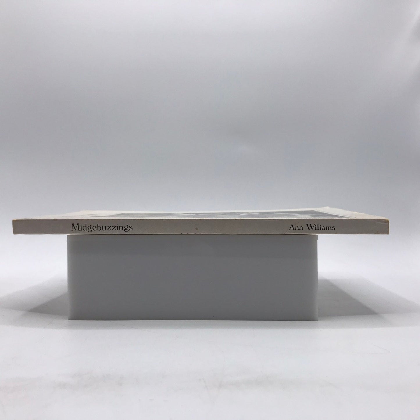 Midgebuzzings Signed Paperback by Ann Williams Illustrated First Edition 1985