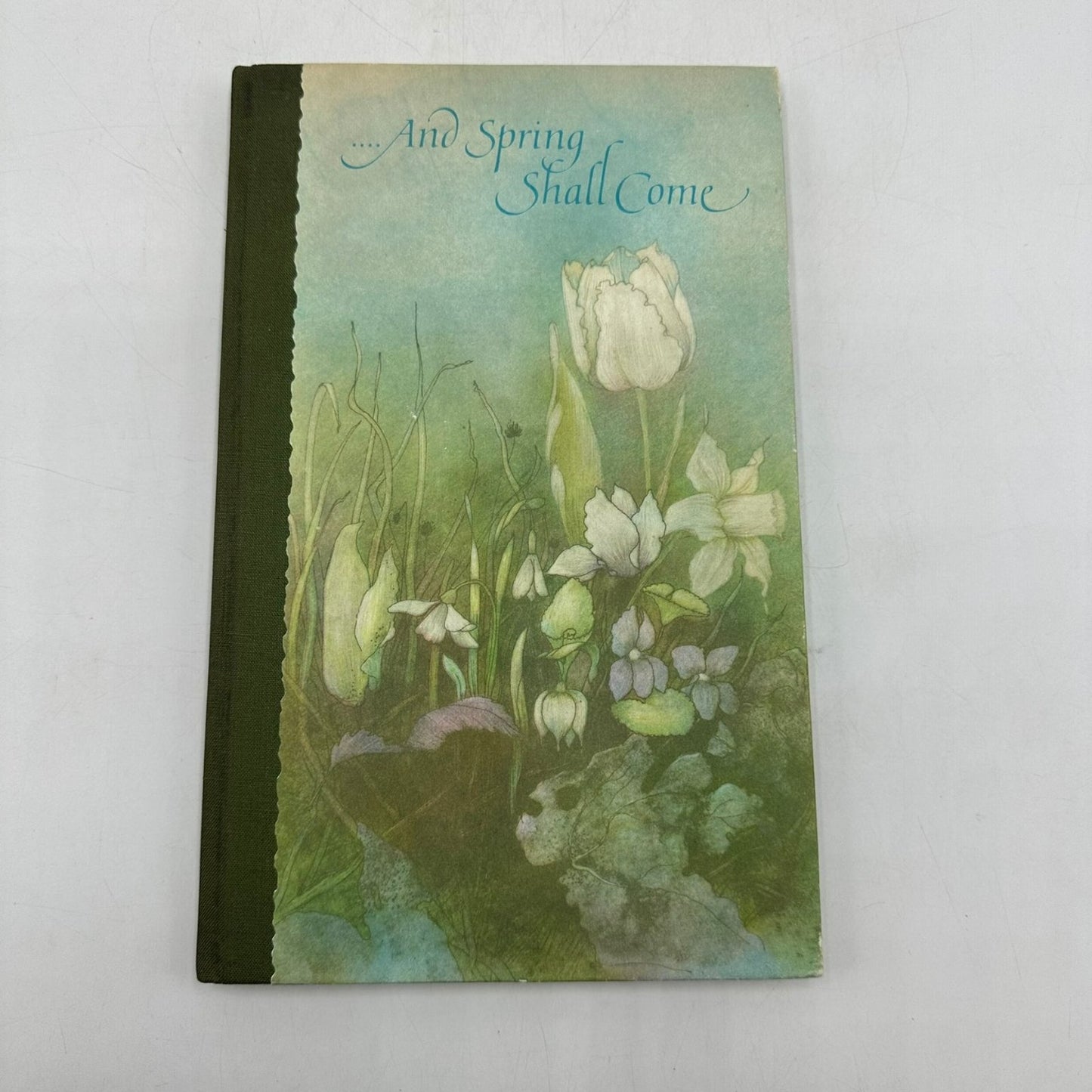 And Spring Shall Come Hallmark Poetry Illustrated Hardcover Book 1971