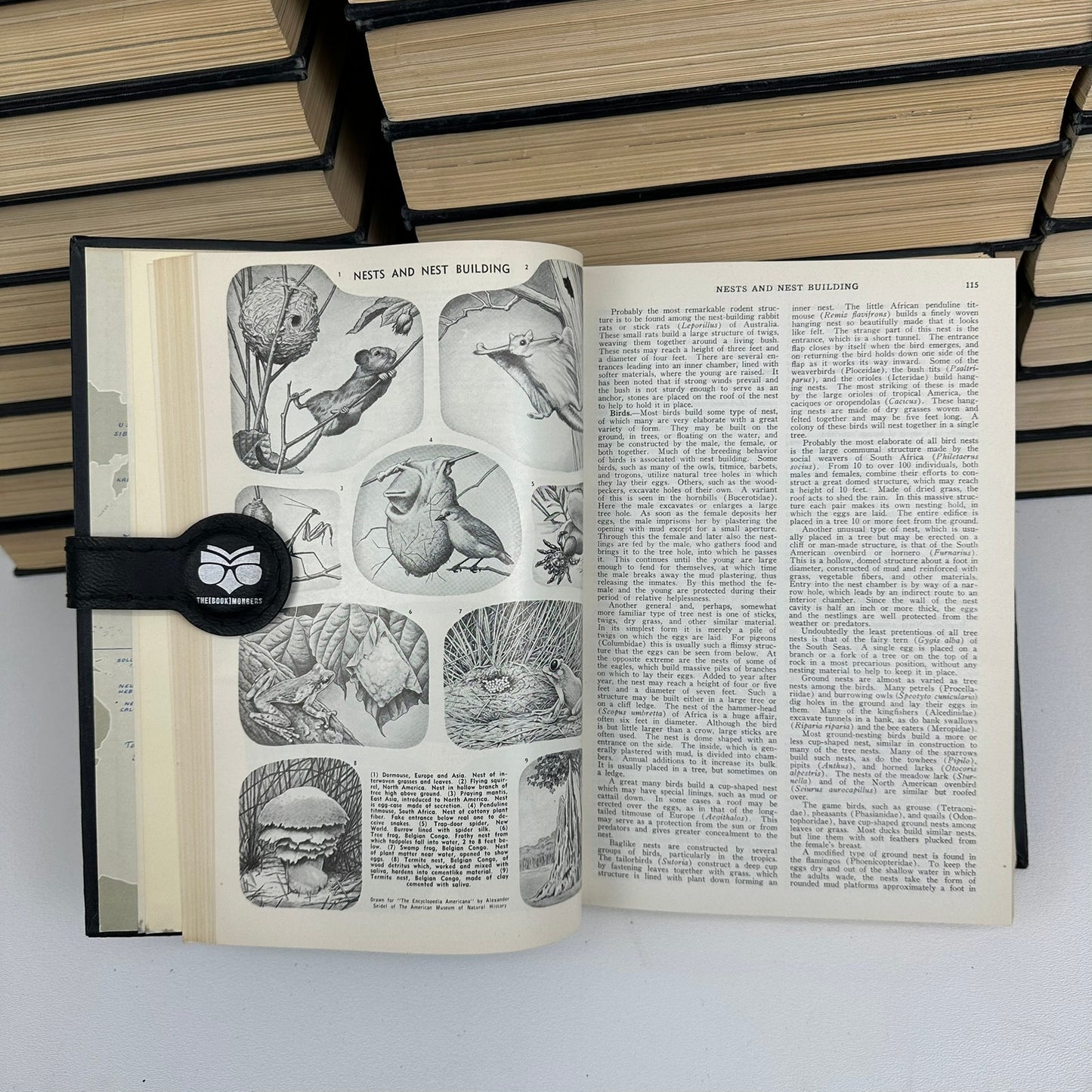 The Encyclopedia Americana Complete 30 Volume Set International Reference 1957