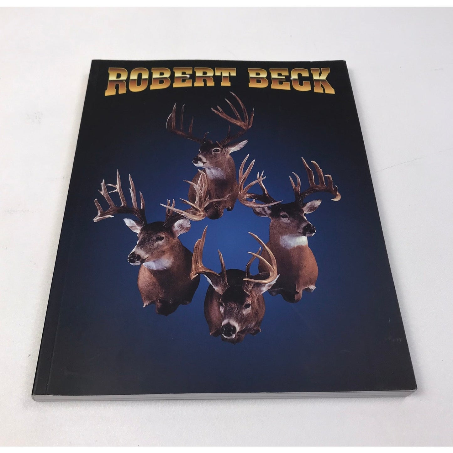 Robert Beck Artist Monograph Drawings Photographs Sculptures Contemporary Art