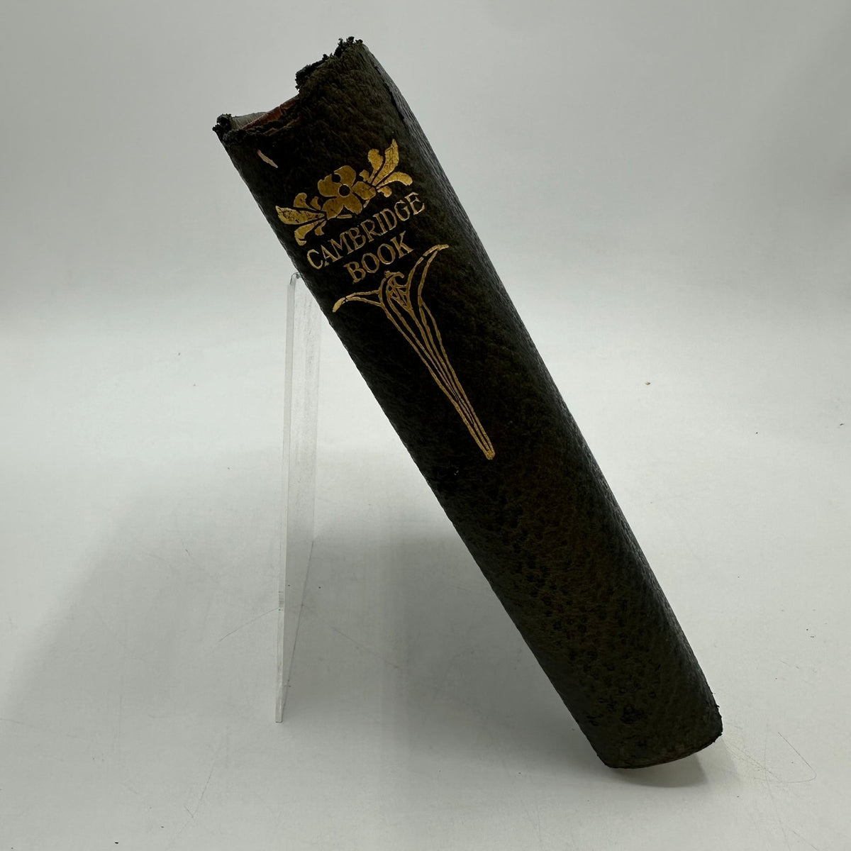 Cambridge Book of Poetry and Song Charlotte Fiske Bates 1882 Poems Verse History