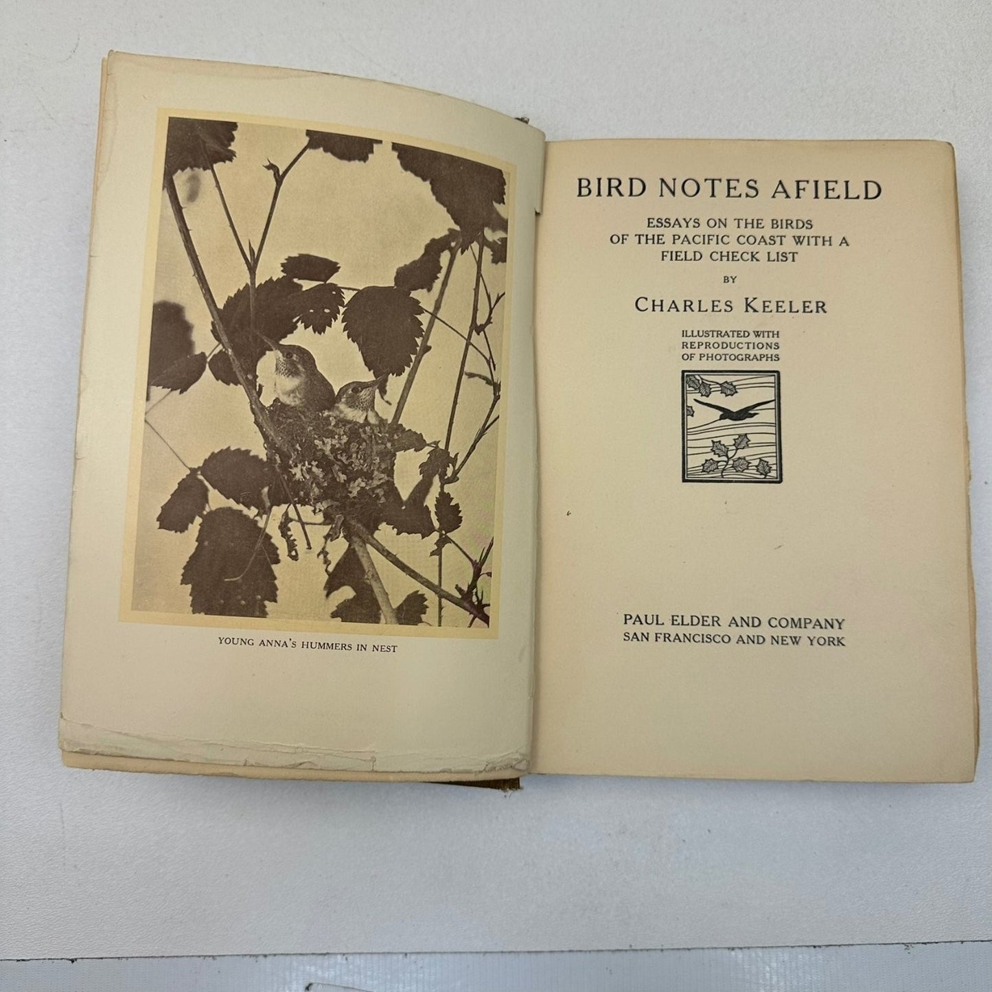 Bird Notes Afield Charles Keeler 1907 2nd Ed Revised Illustrated Ornithology