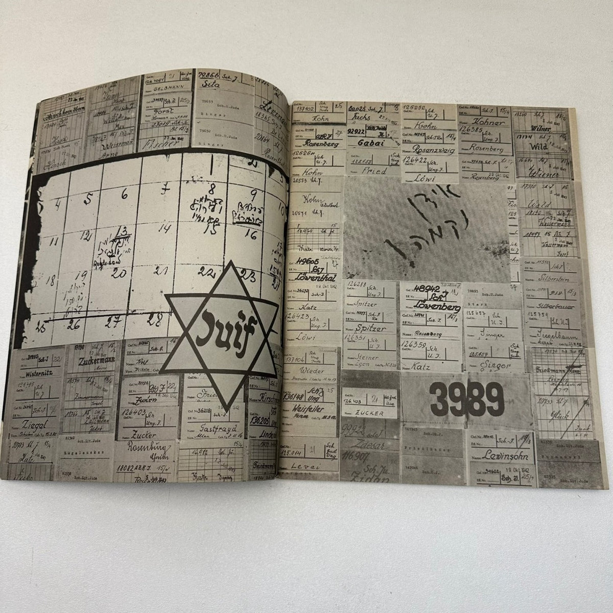 The Holocaust Yad Vashem 1977 Paperback Nonfiction History Genocide Ephemera