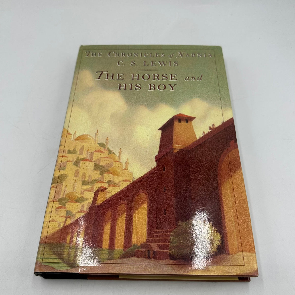 Chronicles of Narnia Novels #1-7 C. S. Lewis Childrens Literature High Fantasy