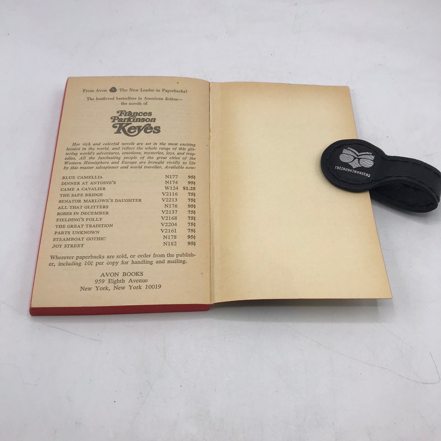 Something Evil Arthur Hoffe Horror Gothic Romance Mystery Supernatural Novel