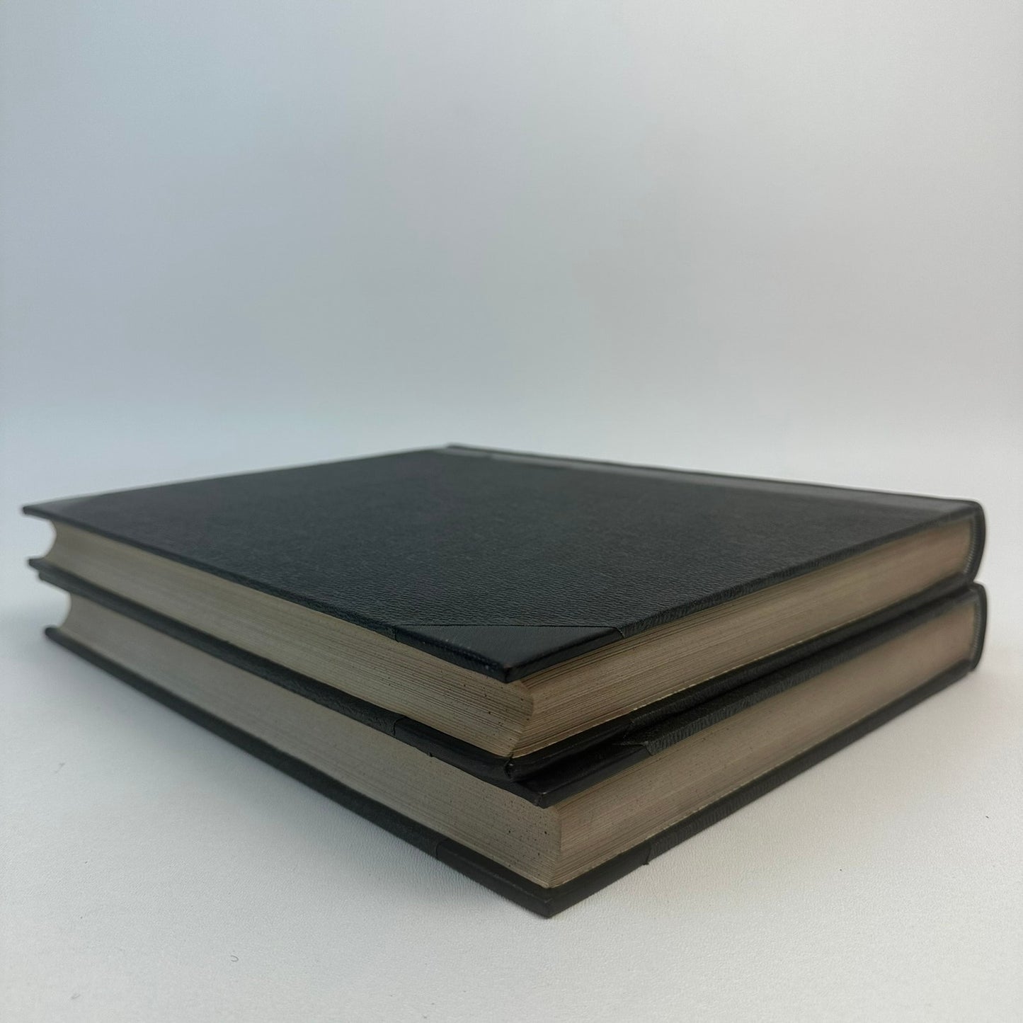 The Masterpieces of European Art Volumes 1 and 2 History Culture Painting