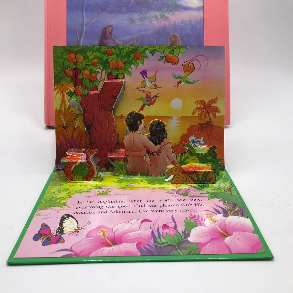 The Nativity & The Creation Bible Story Pop-Up Books Sue Brown & John Patience