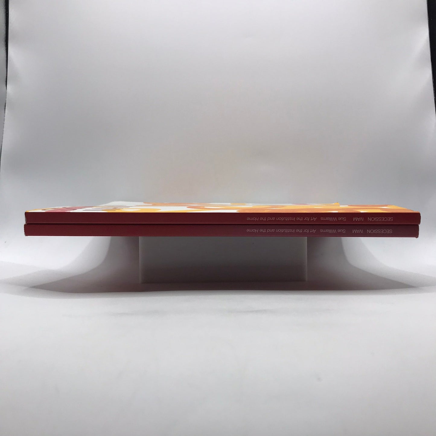 Secession IVAM Sue Williams Art For Institution and Home Catalog Regen Project