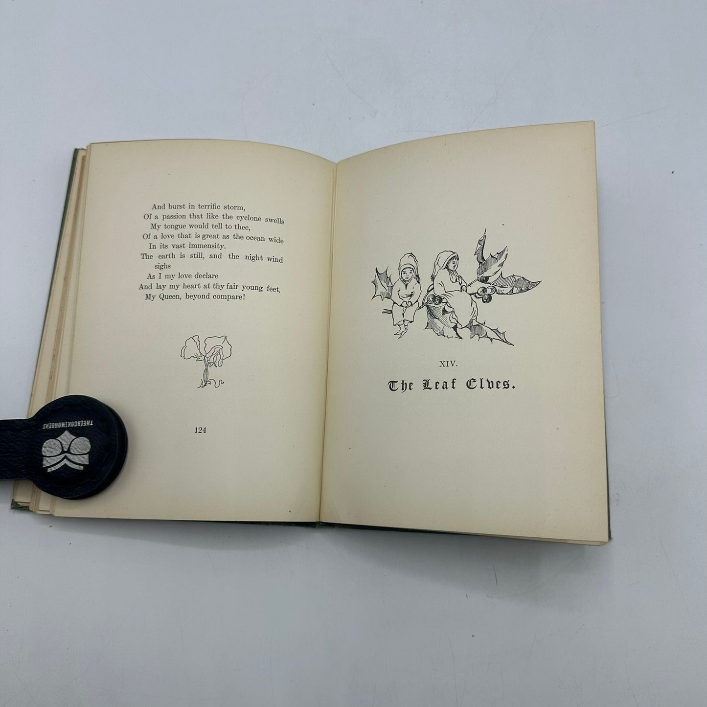 Natures Allegories and Poems Maud Dunkley Poetry Historical Literary Collection