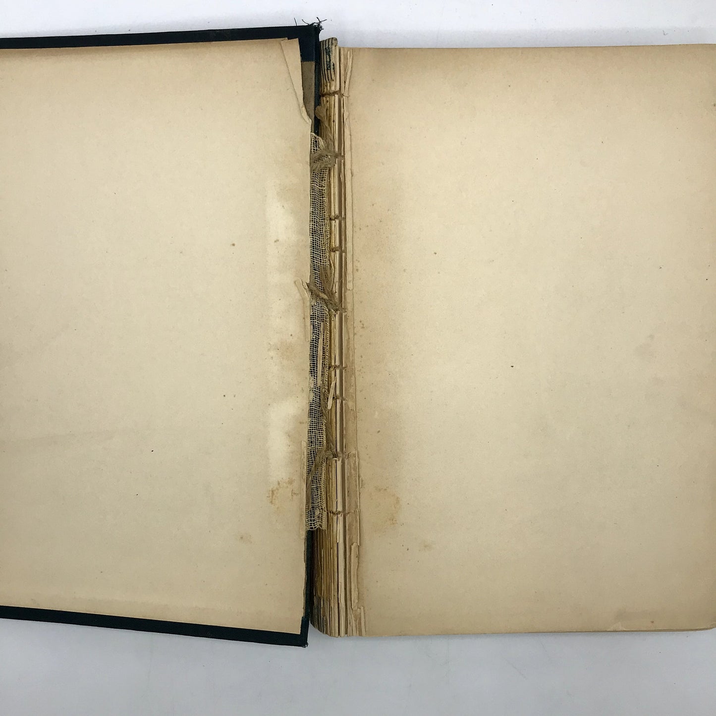 The Works of James Fenimore Cooper Volume 1 Illustrated Hardcover Book 1892