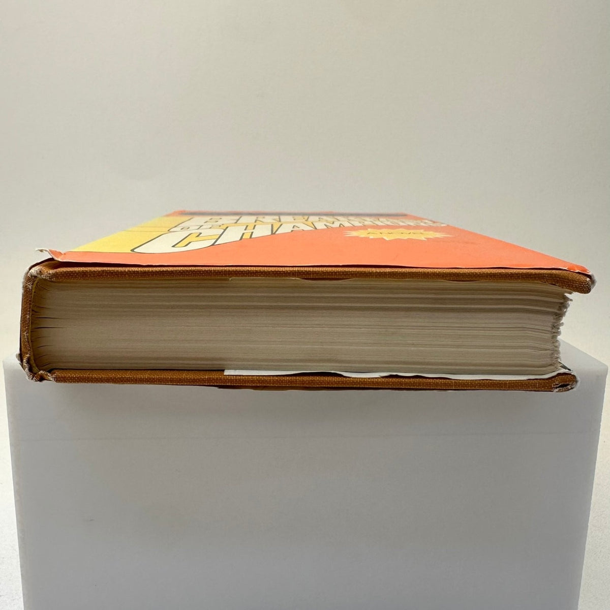 Breakfast of Champions Kurt Vonnegut Jr. 1973 Book Club Edition Novel Delacorte
