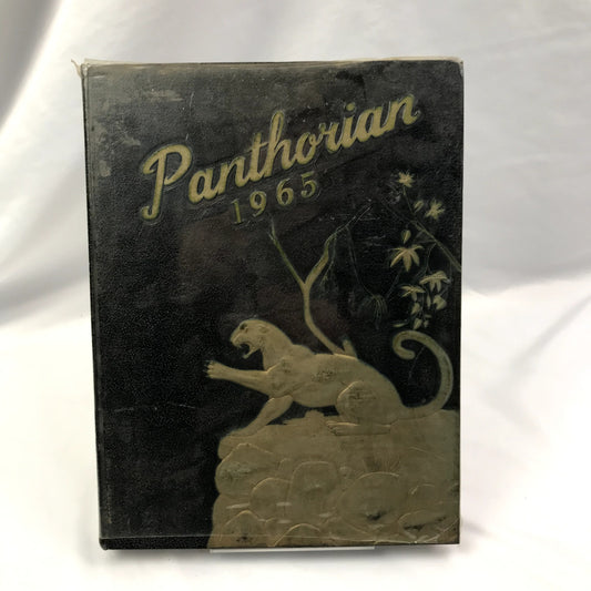 Panthorian 1965 Vol. 2 Maryvale High School Yearbook Phoenix Arizona Hardcover