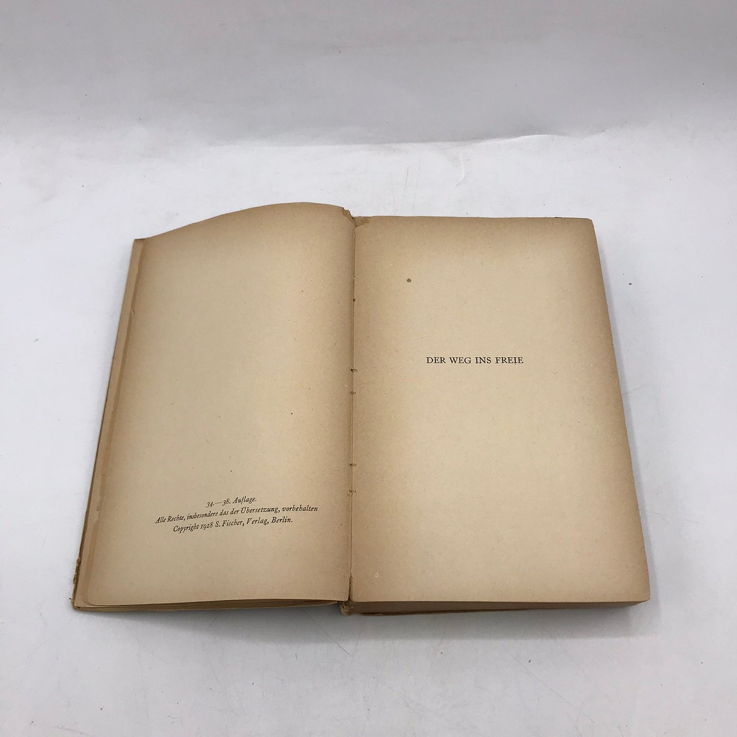 Der Weg Ins Freie Roman Arthur Schnitzler Historical German Literature 1920