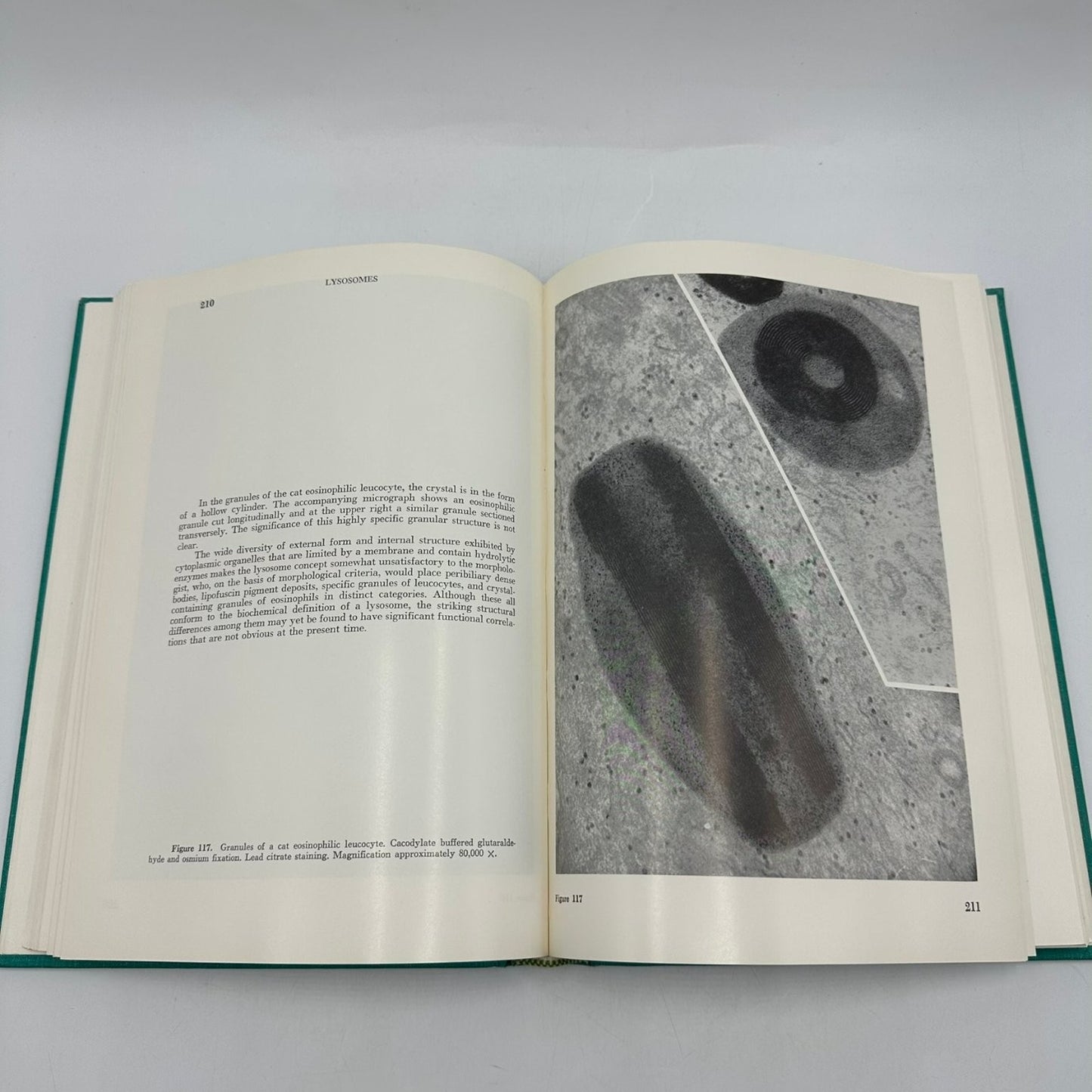 An Atlas of Fine Structure THE CELL Fawcett 1969 Biology Cytology Saunders
