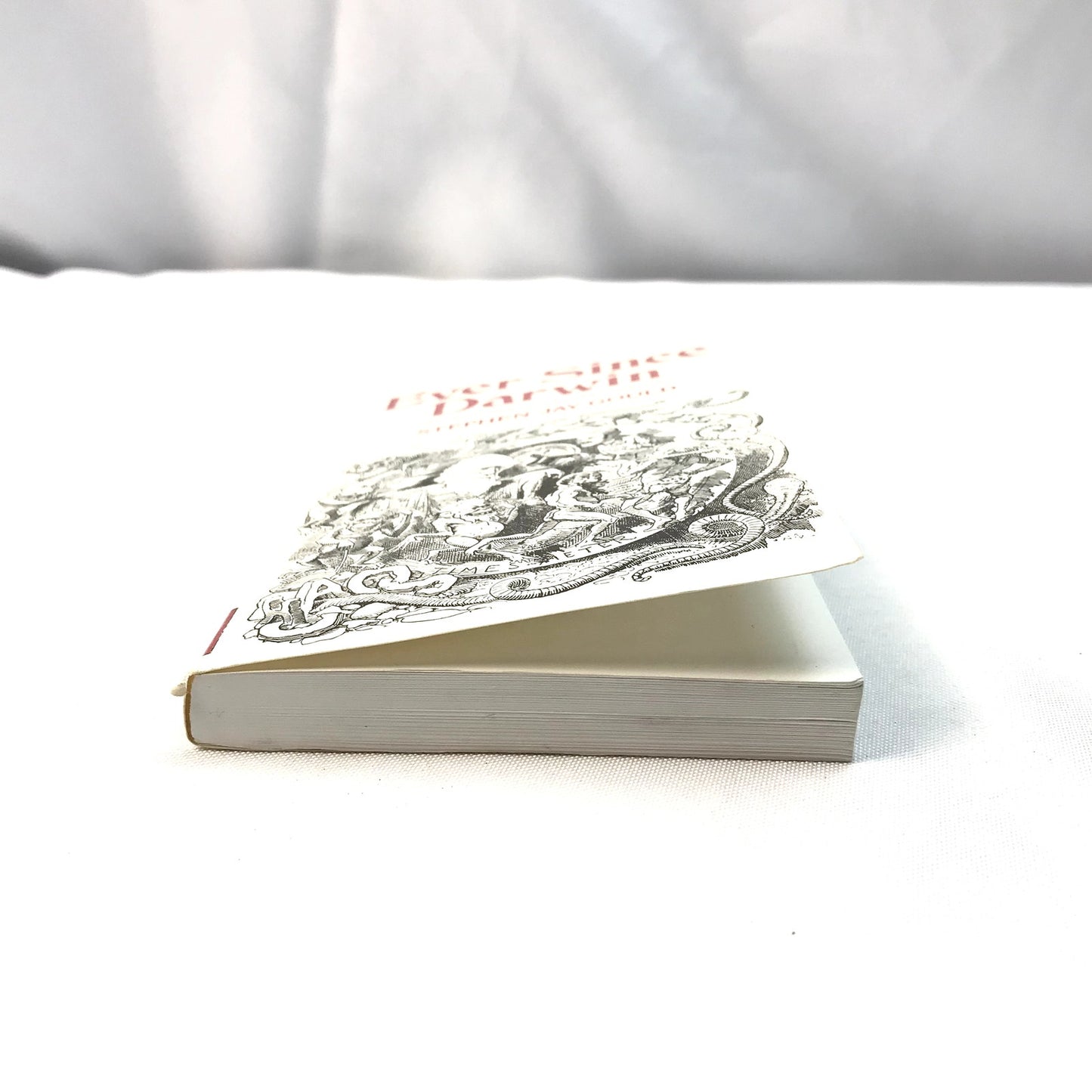 Ever Since Darwin: Reflections in Natural History Book by Stephen Jay Gould 1979