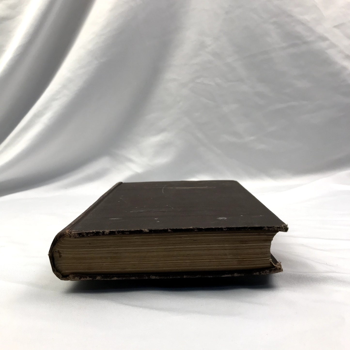 Special Report on Diseases of Cattle 1916 U.S. Department of Agriculture HC Book