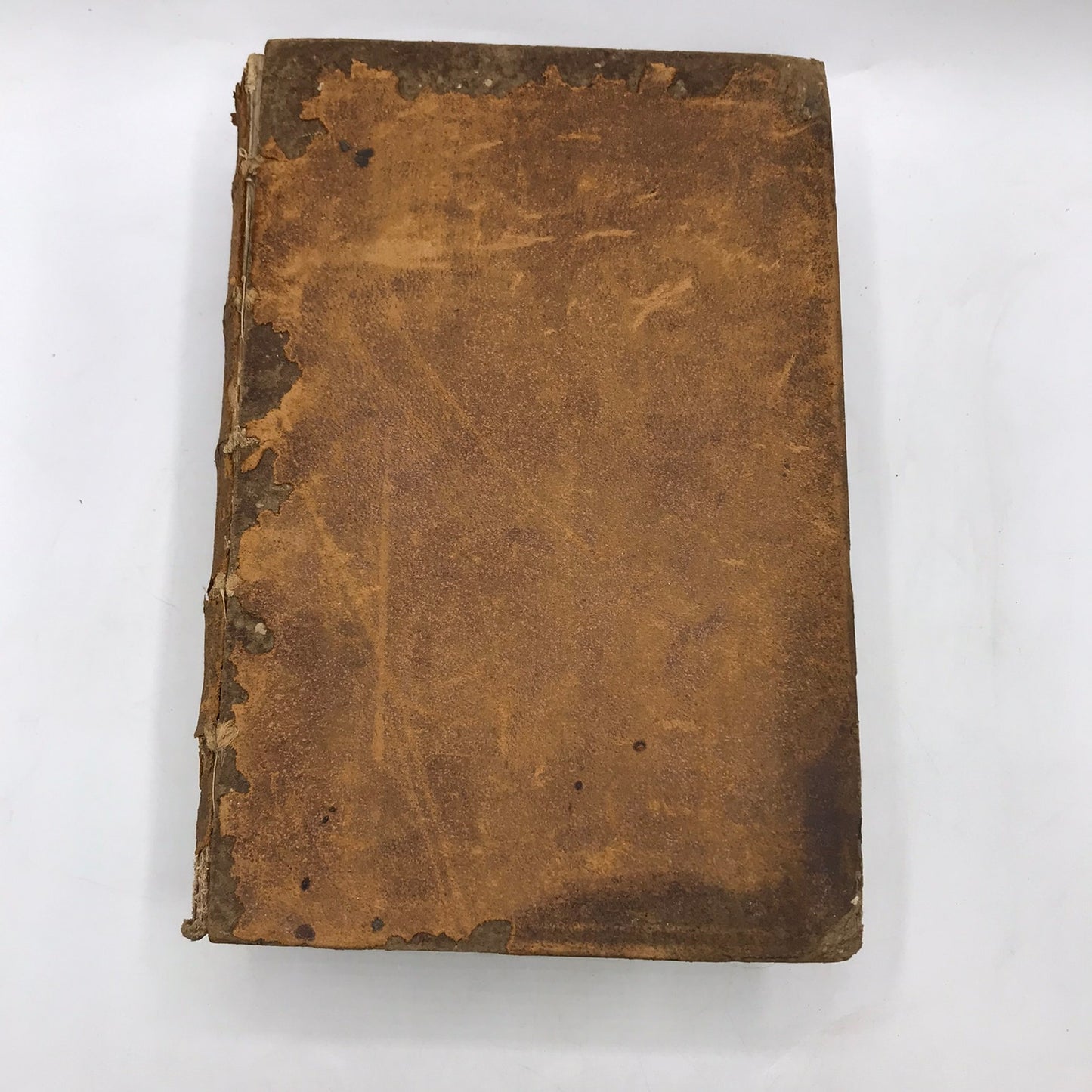 A Copious and Critical Latin English Lexicon E A Andrews Language Lexicography