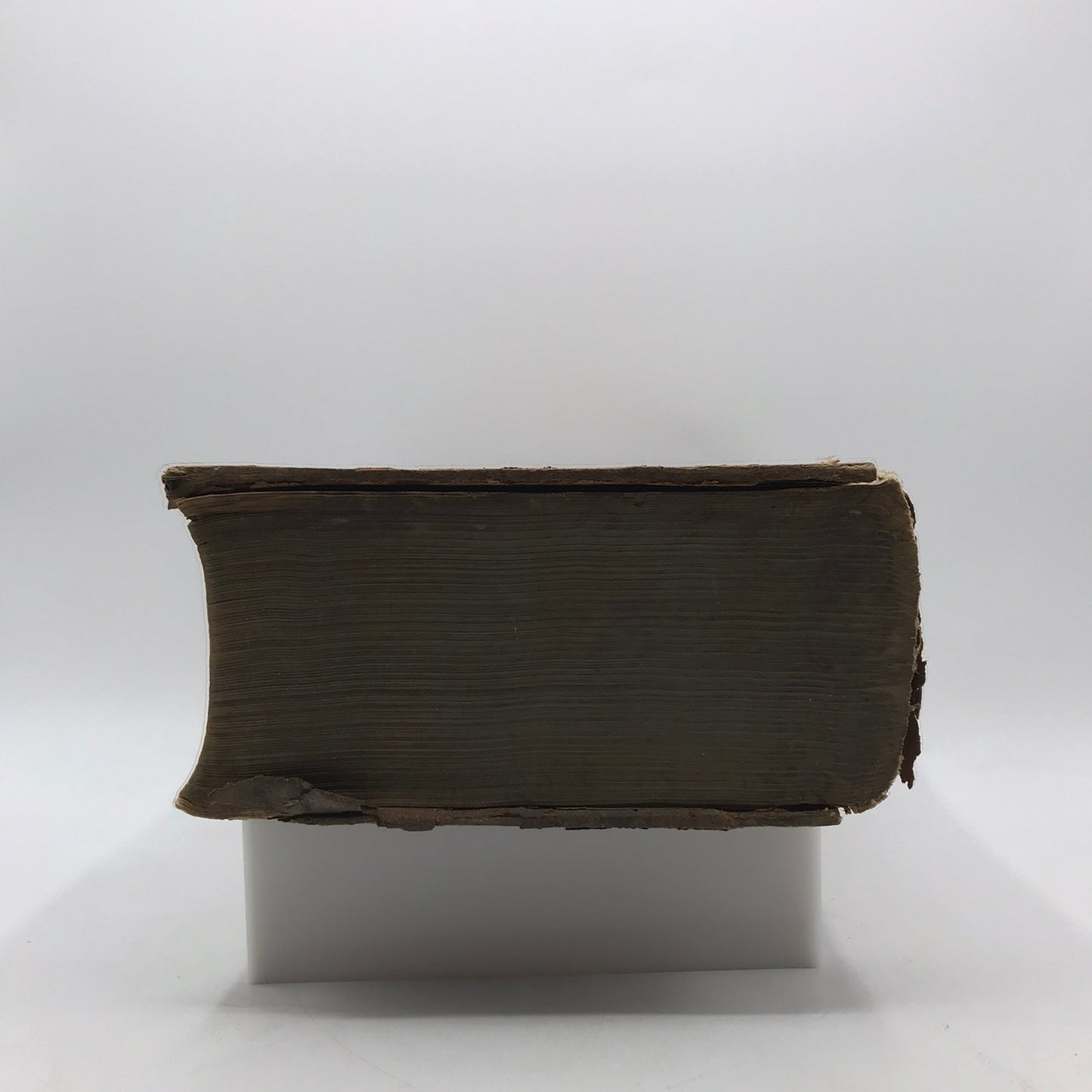 A Copious and Critical Latin English Lexicon E A Andrews Language Lexicography