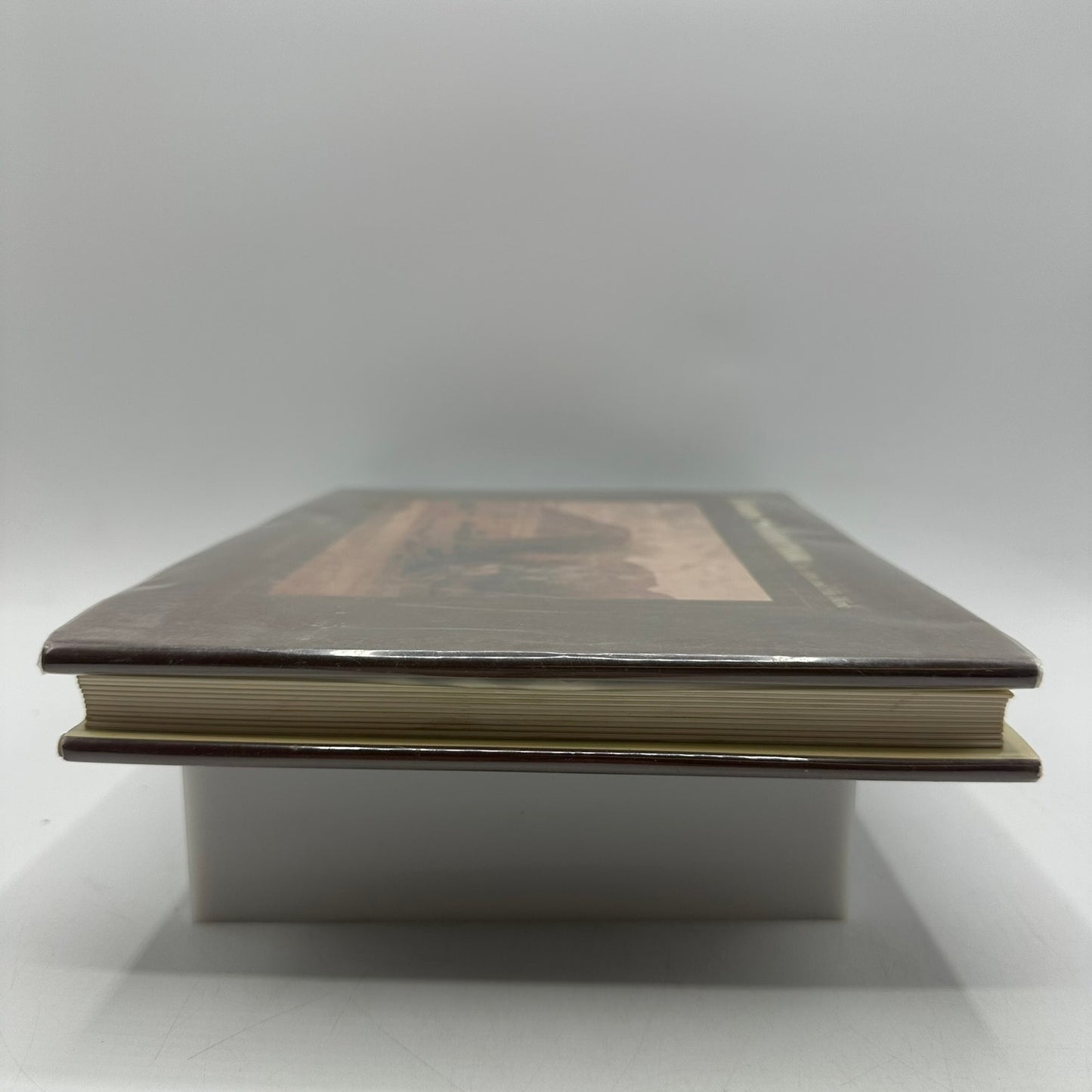 Jimmy Swinnerton Artist and His Work Harold G Davidson SIGNED Biography Painting