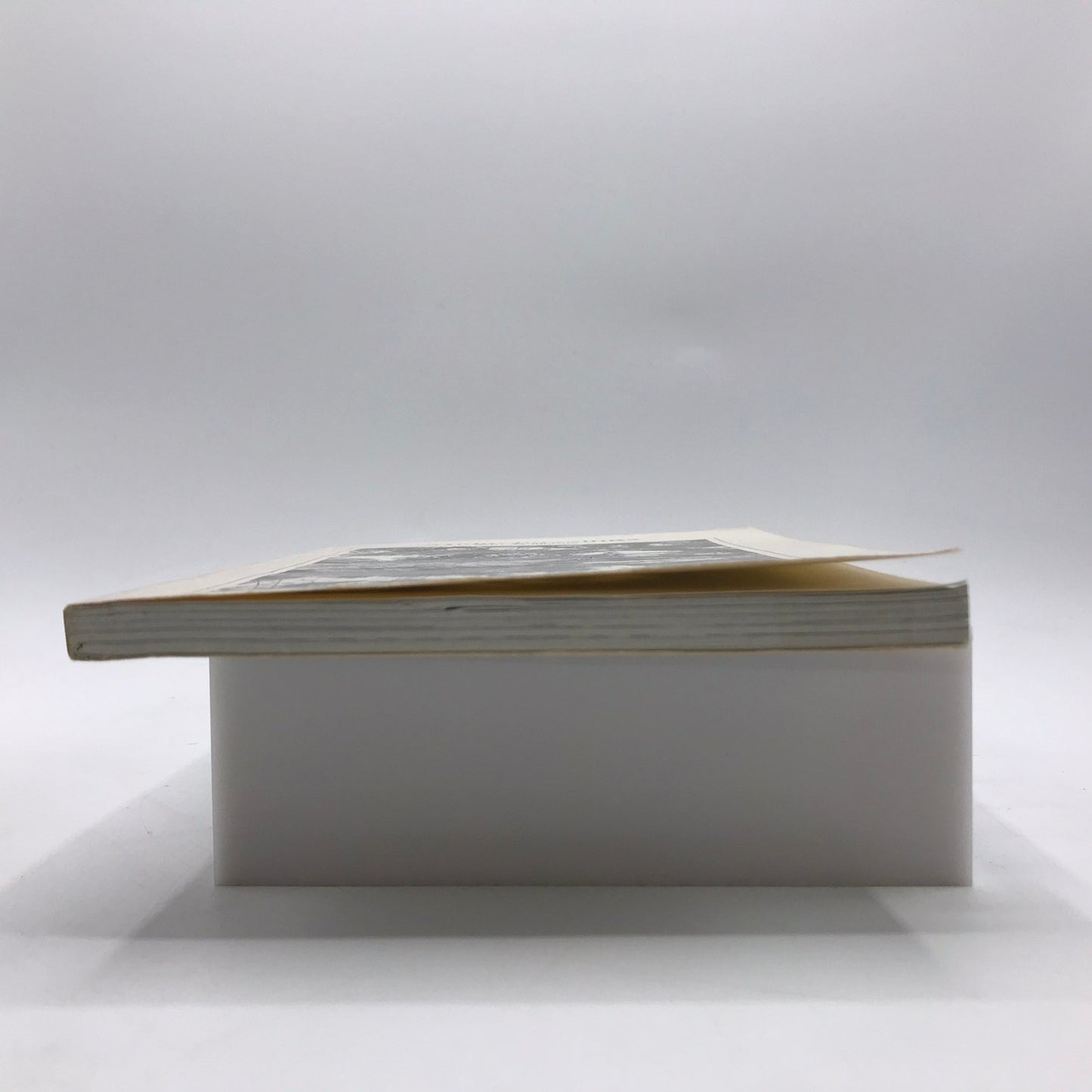 Midgebuzzings Signed Paperback by Ann Williams Illustrated First Edition 1985