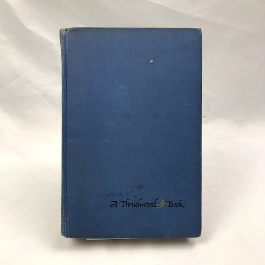 Understood Betsy Hardcover Children's Book by Dorothy Canfield Fisher 1917