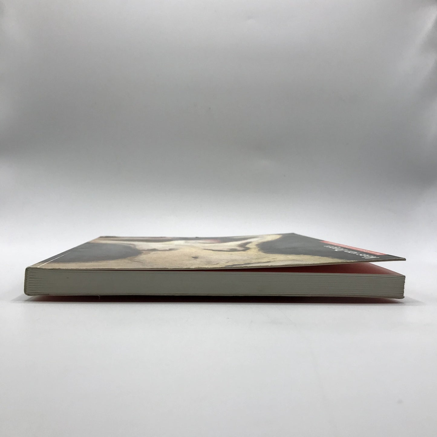Kees van Dongen Museum Boymans-van Beuningen Rotterdam - Paris Art Catalog 1990