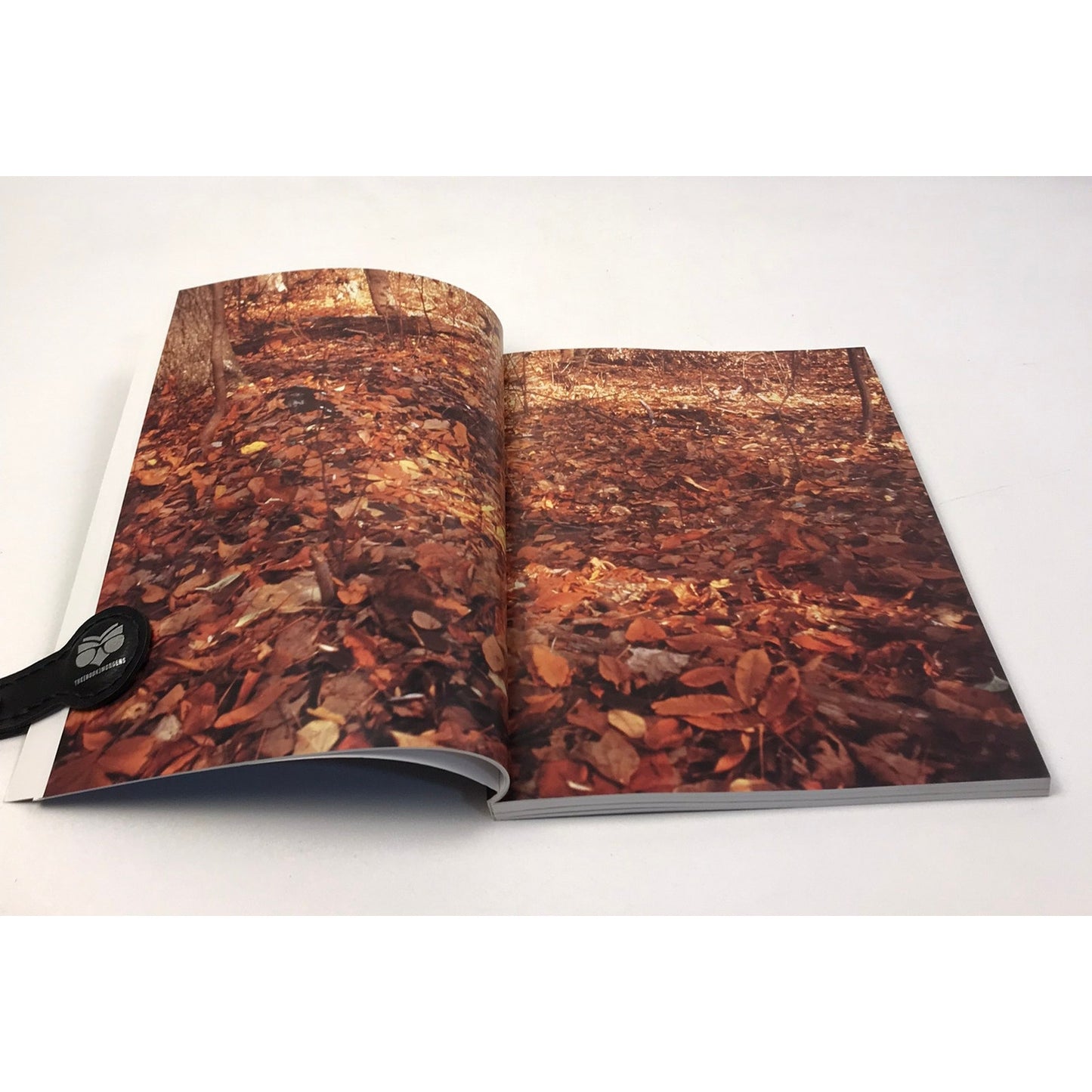 Robert Beck Artist Monograph Drawings Photographs Sculptures Contemporary Art