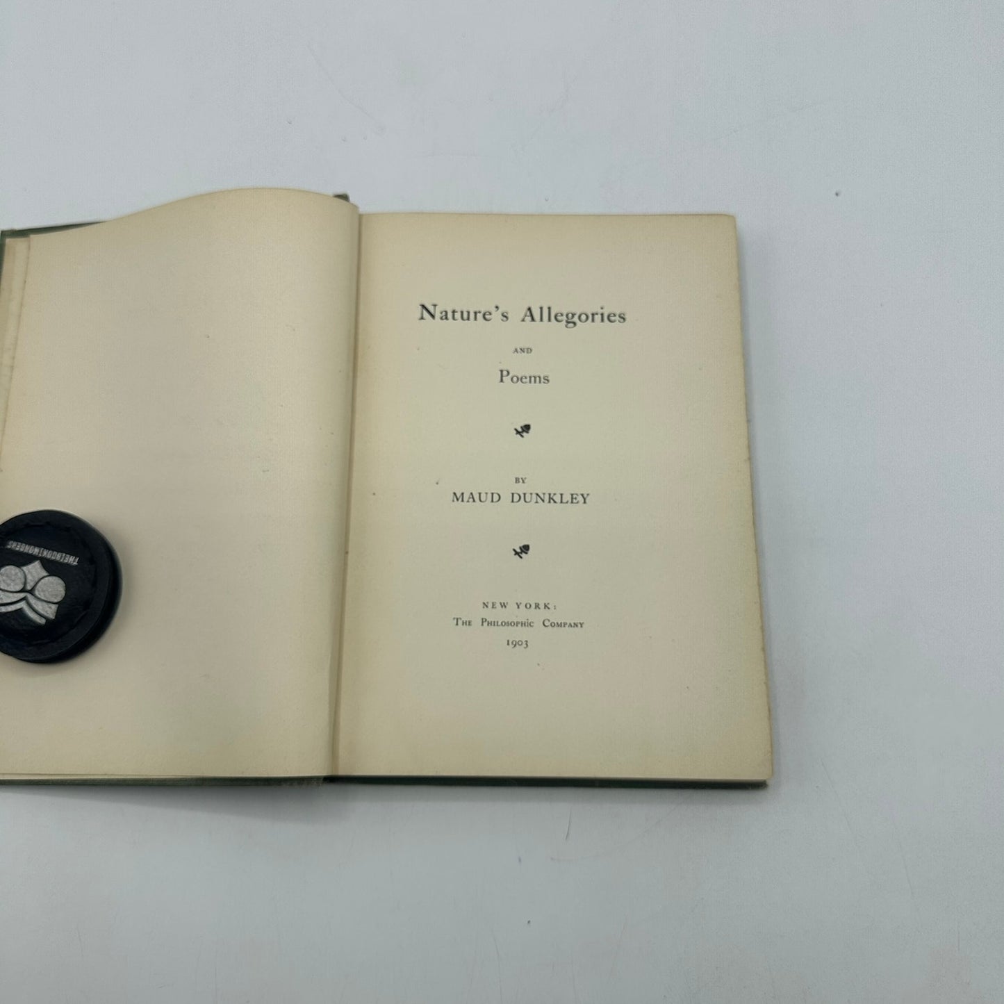 Natures Allegories and Poems Maud Dunkley Poetry Historical Literary Collection