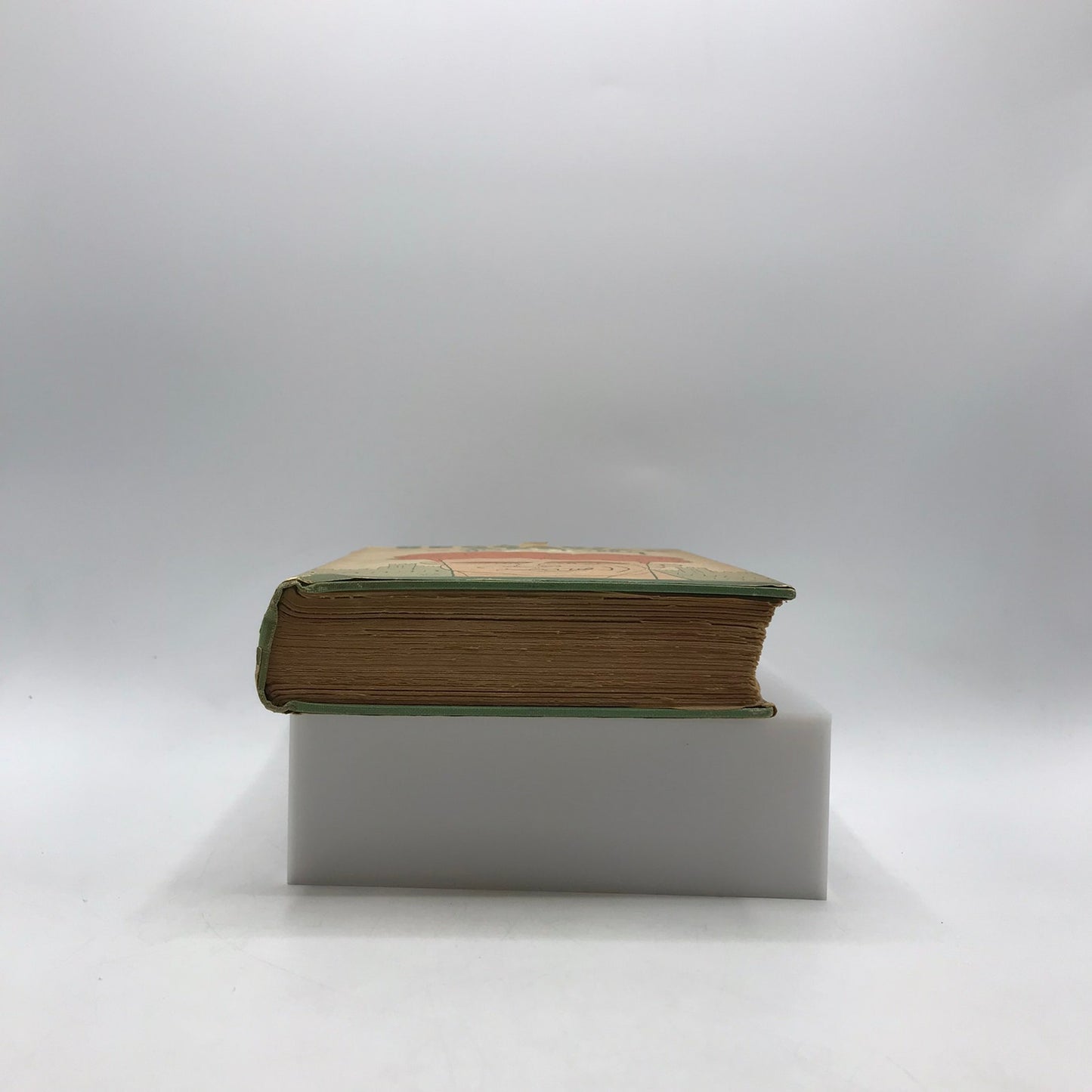 Beggars Abroad Jim Tully Personal Narrative Europe Travel Literature Memoir 1930