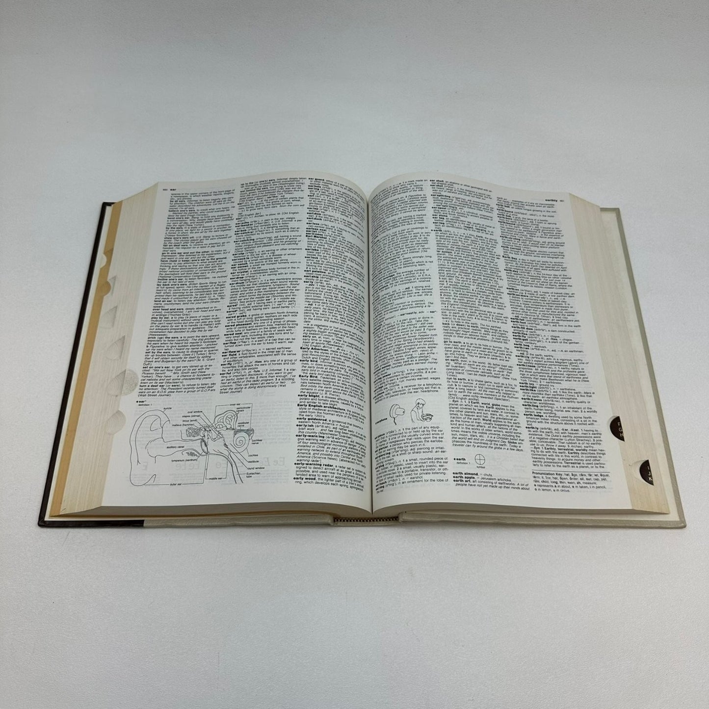 The World Book Dictionary Thorndike Barnhart 1976 2 Volume Set Reference