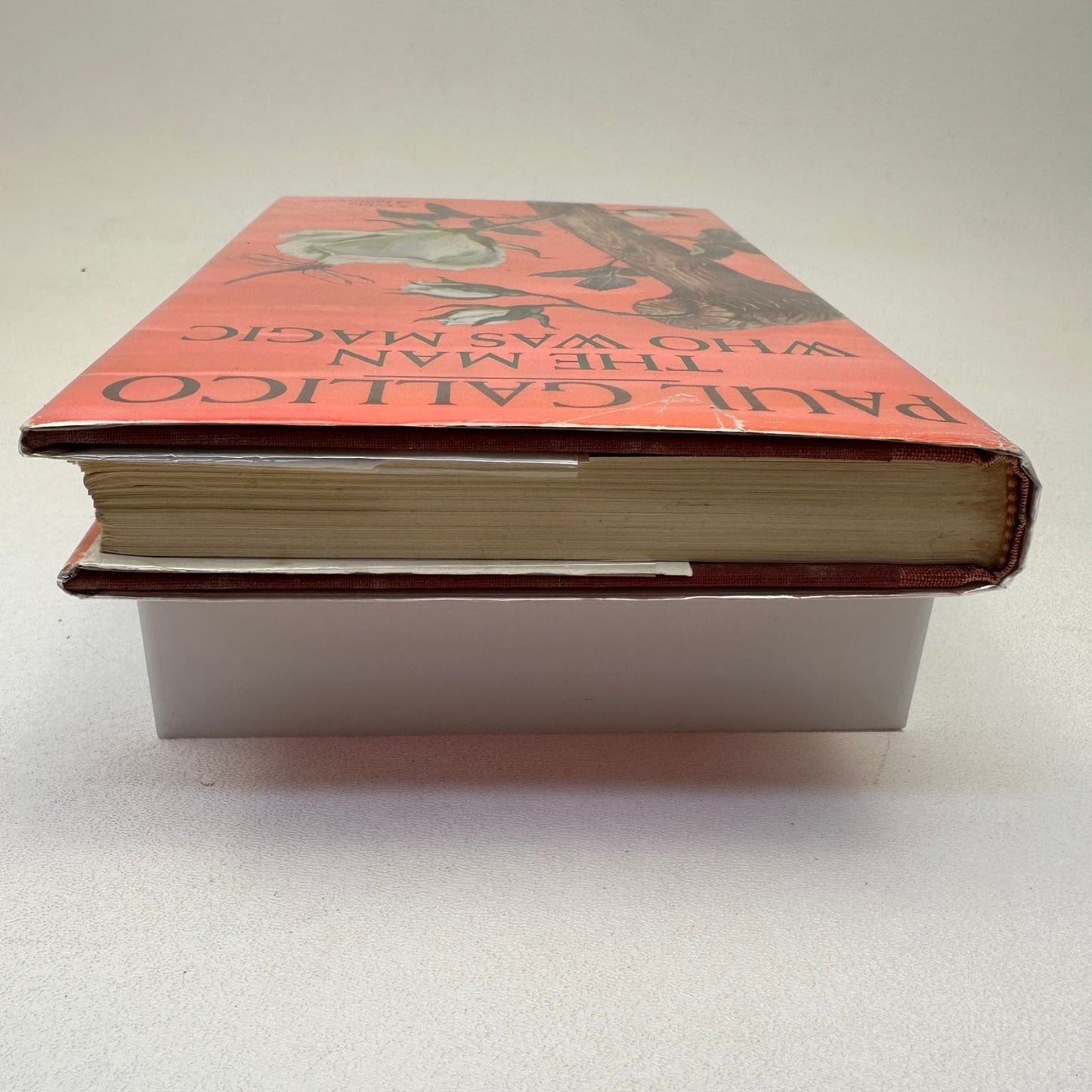 The Man Who Was Magic Paul Gallico 1966 First Edition Fable Doubleday