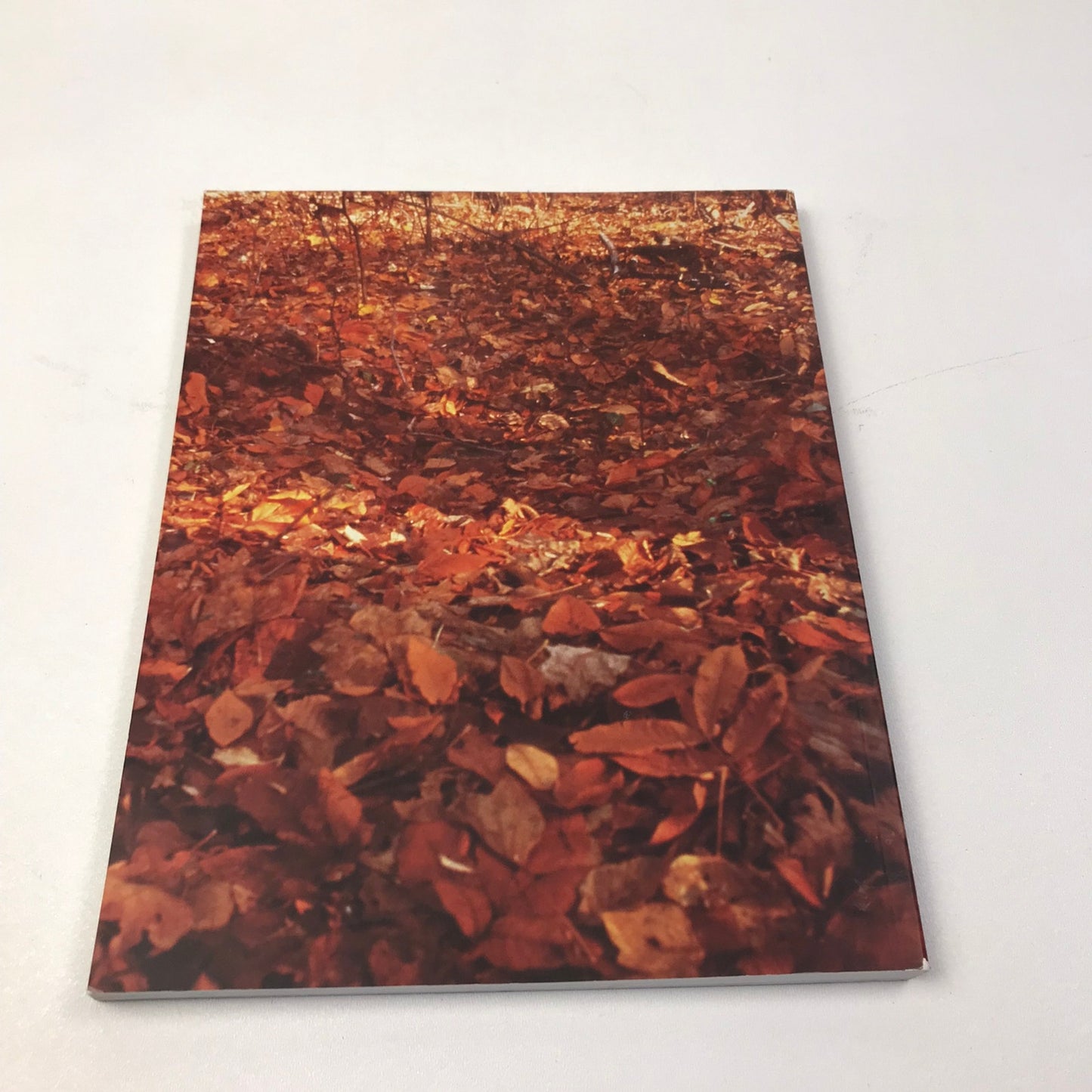 Robert Beck Artist Monograph Drawings Photographs Sculptures Contemporary Art