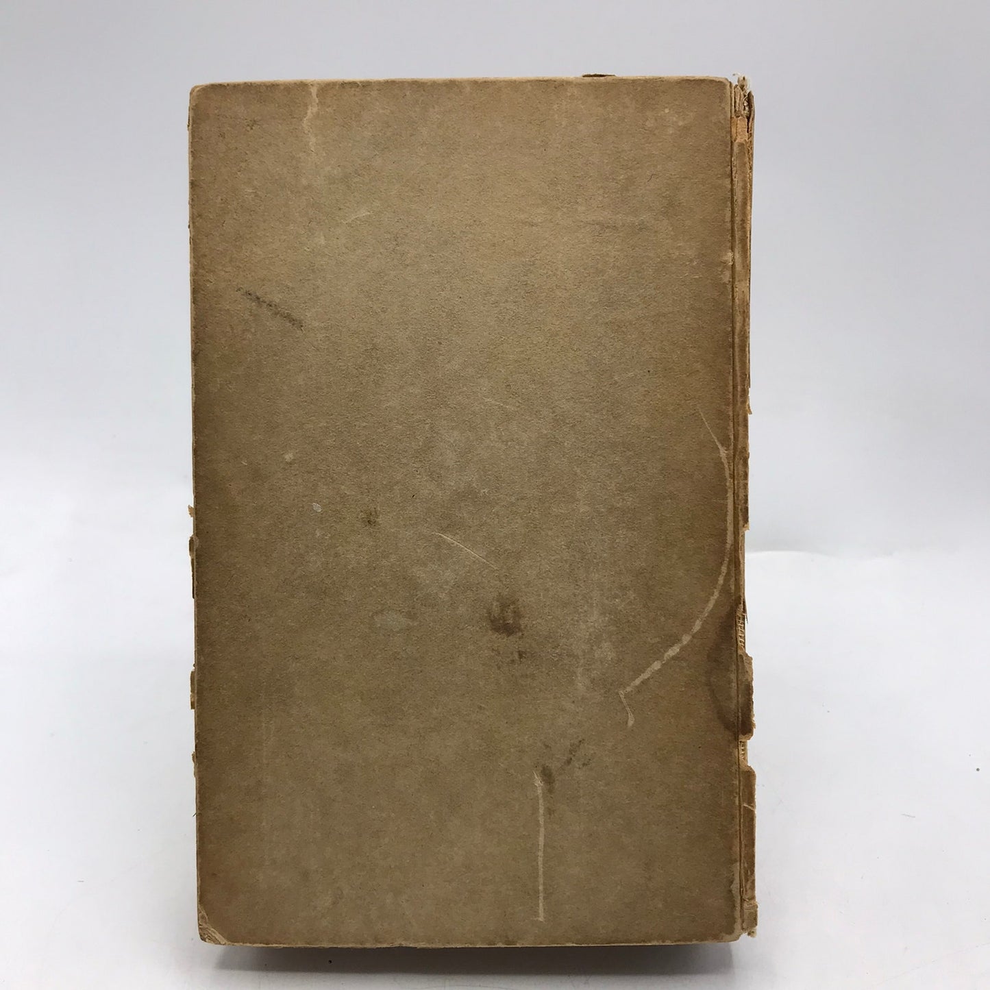 Der Weg Ins Freie Roman Arthur Schnitzler Historical German Literature 1920