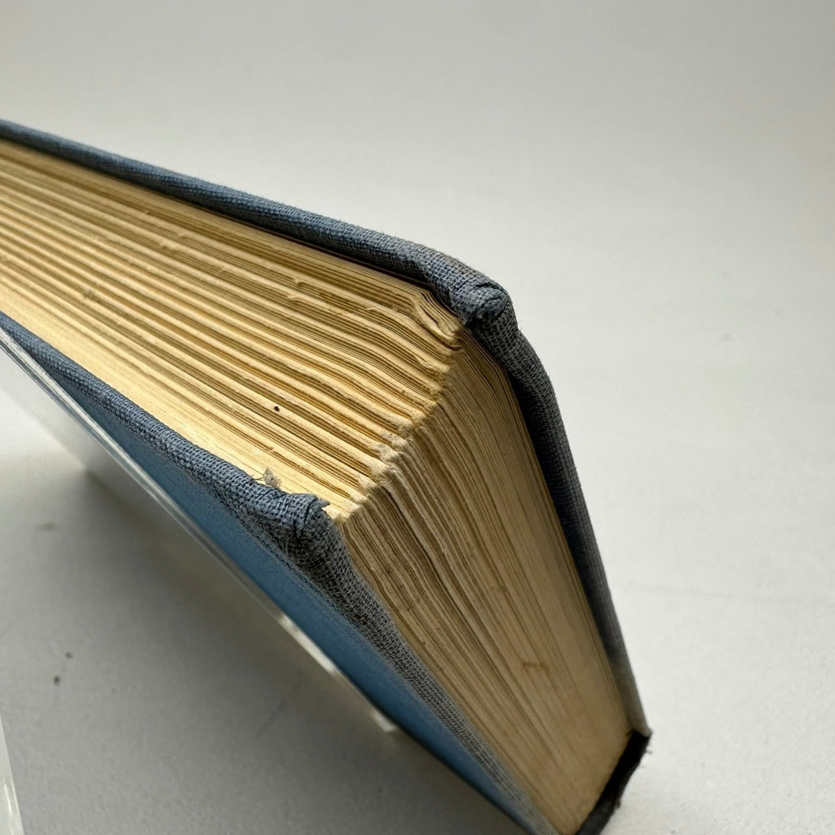 On Being A Bird Philip Wills 1955 First Edition SIGNED Memoir Parrish