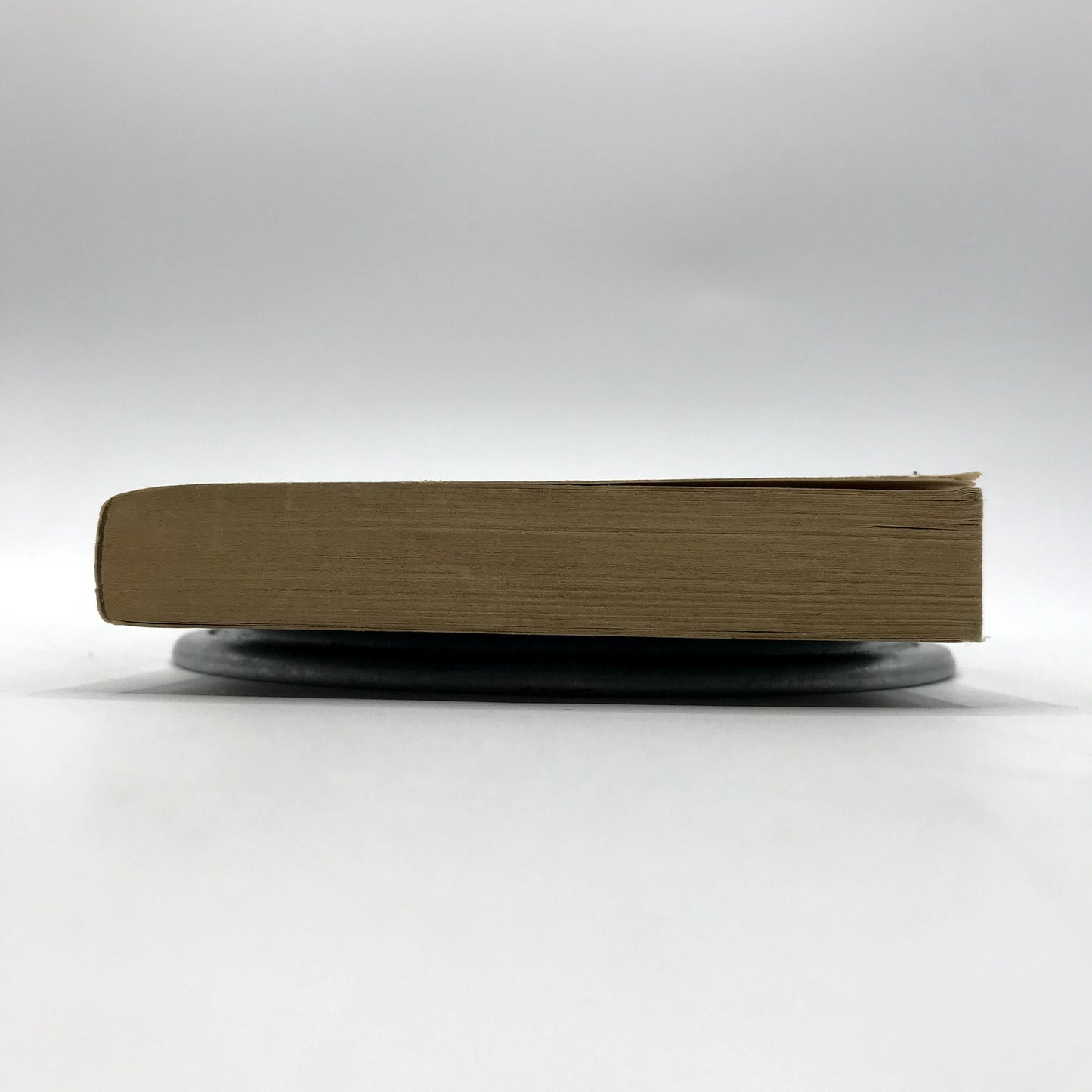 How to Stay Alive In the Woods Survivalist Guide Illustrated Paperback by Angier