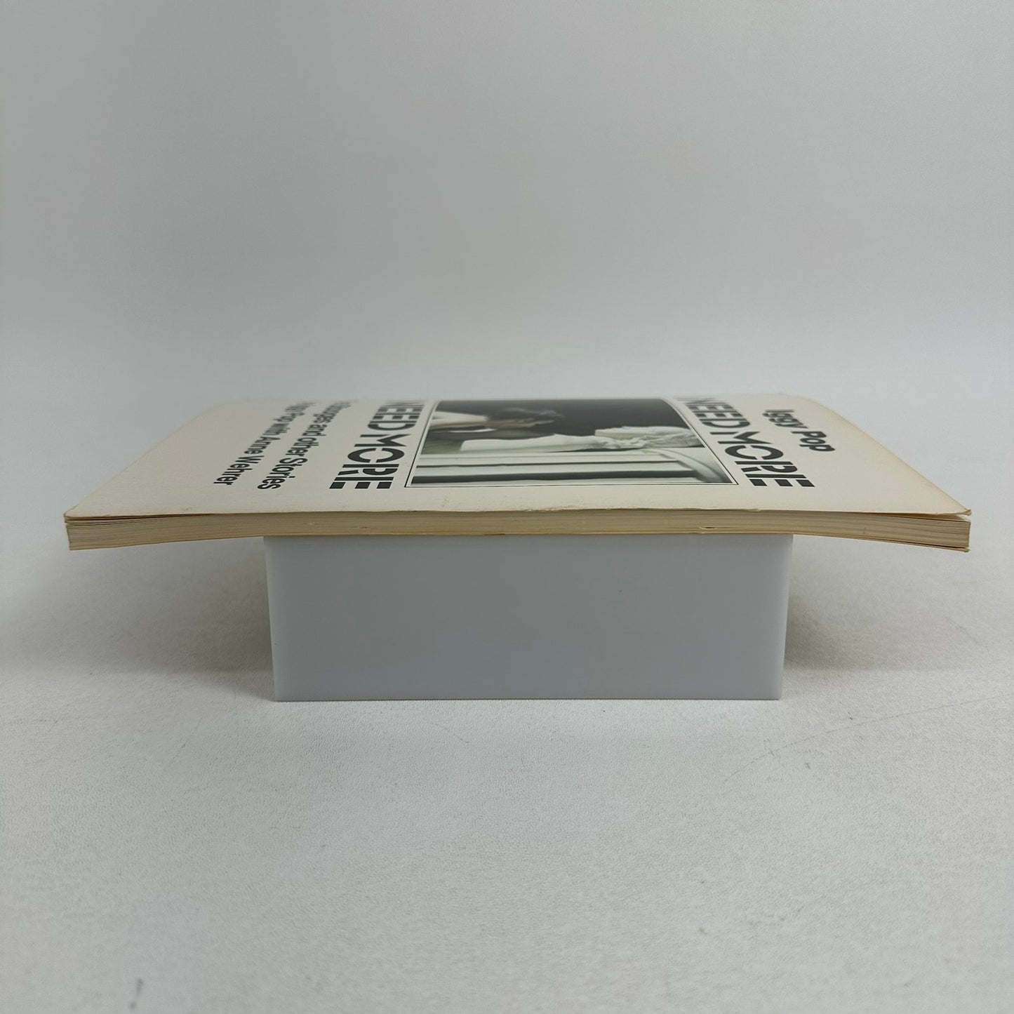 I Need More The Stooges and Other Stories Iggy Pop Anne Wehrer Biography Memoir