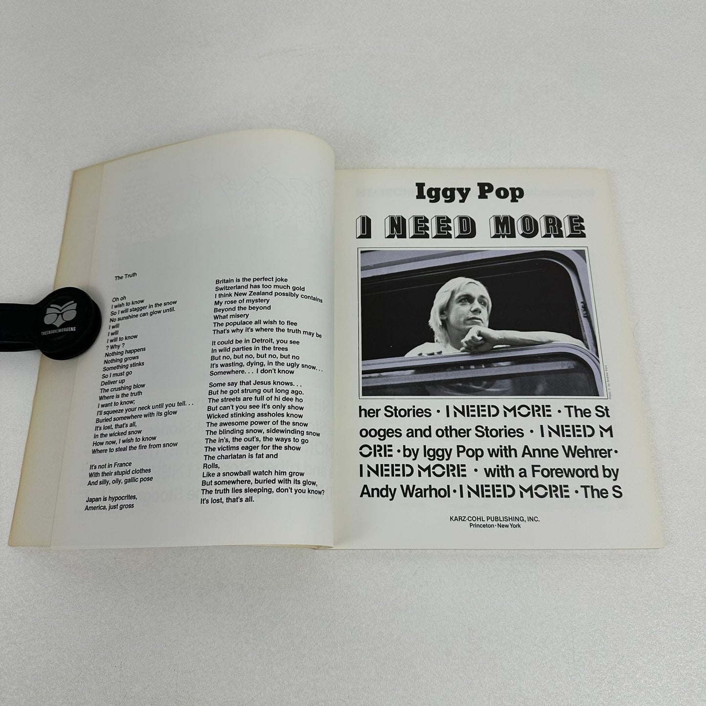 I Need More The Stooges and Other Stories Iggy Pop Anne Wehrer Biography Memoir