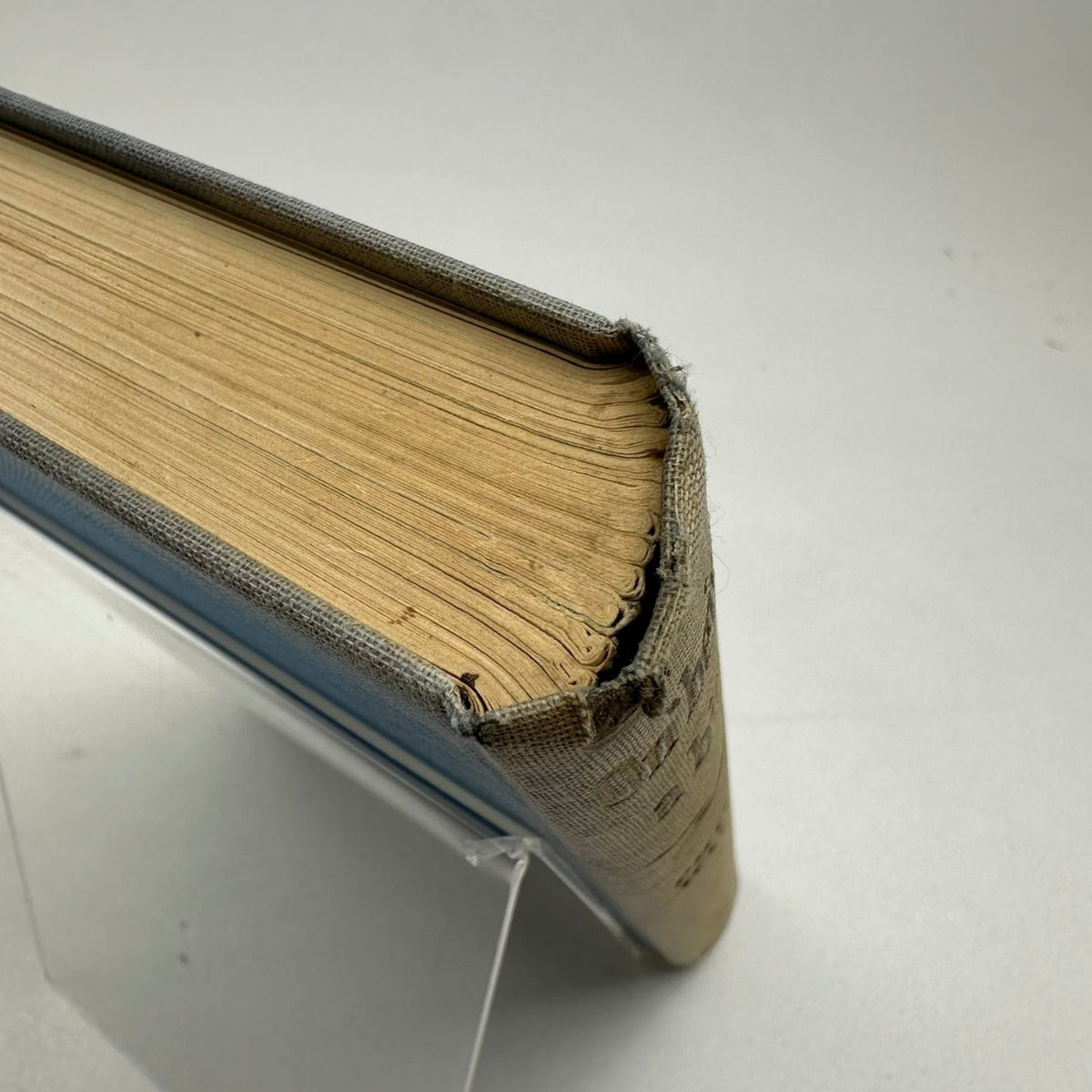 On Being A Bird Philip Wills 1955 First Edition SIGNED Memoir Parrish