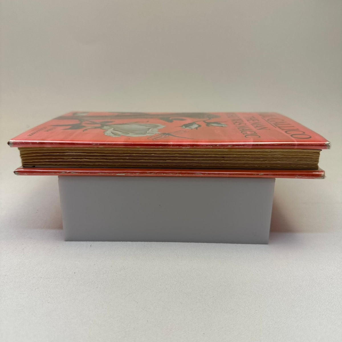 The Man Who Was Magic Paul Gallico 1966 First Edition Fable Doubleday