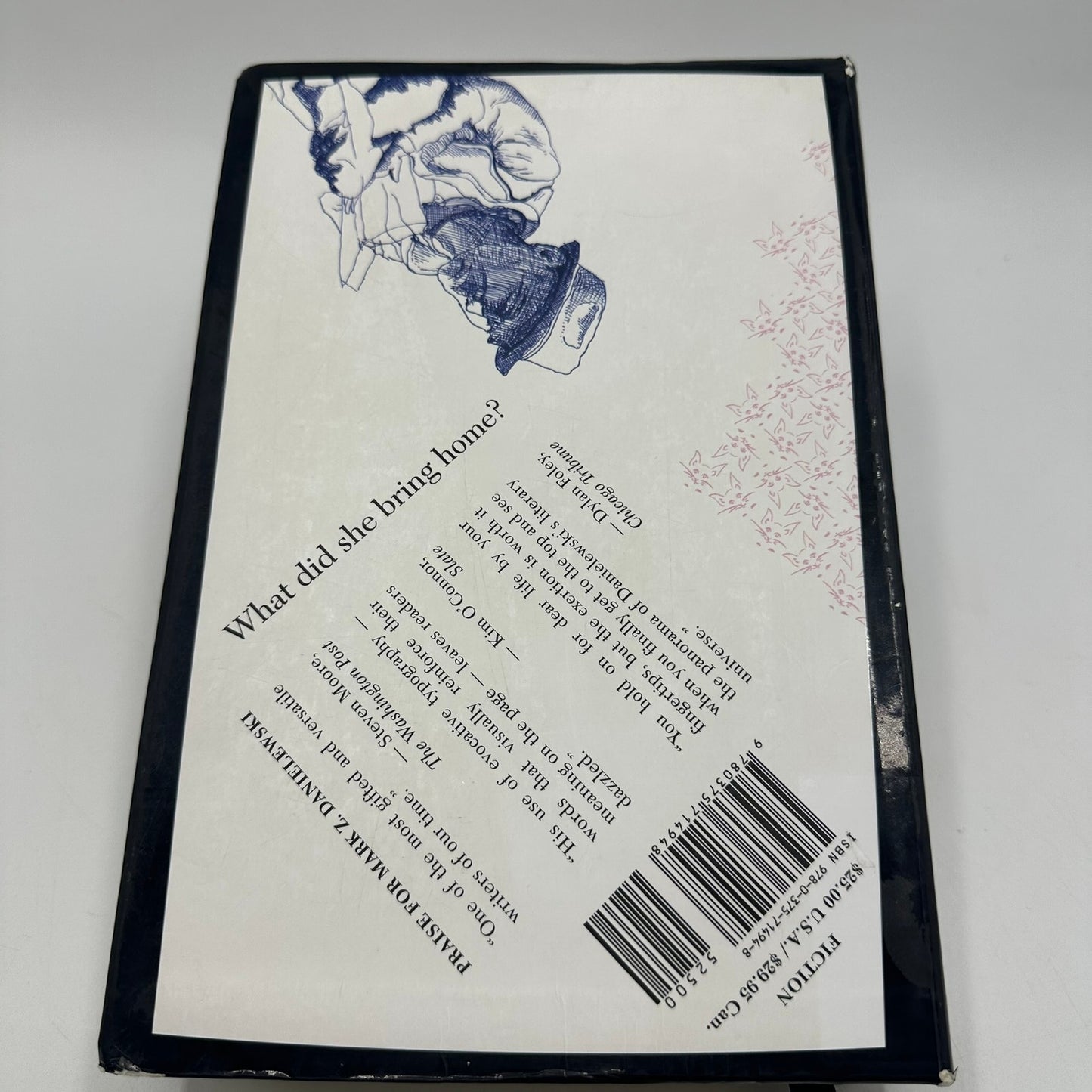 The Familiar Volume 1 One Rainy Day in May Mark Z. Danielewski Thriller Suspense